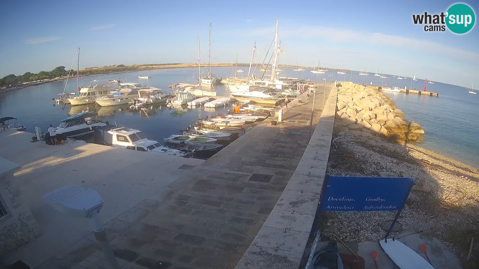 Cámara web de la isla de Unije: explore la belleza de la joya escondida de Croacia