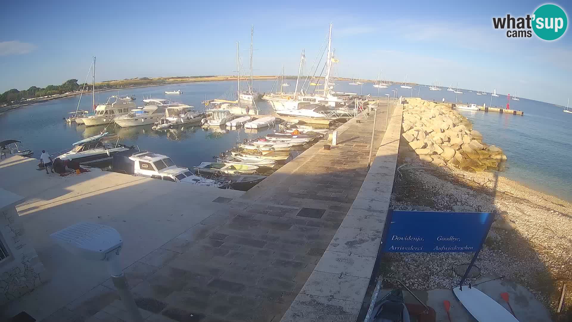 Cámara web de la isla de Unije: explore la belleza de la joya escondida de Croacia