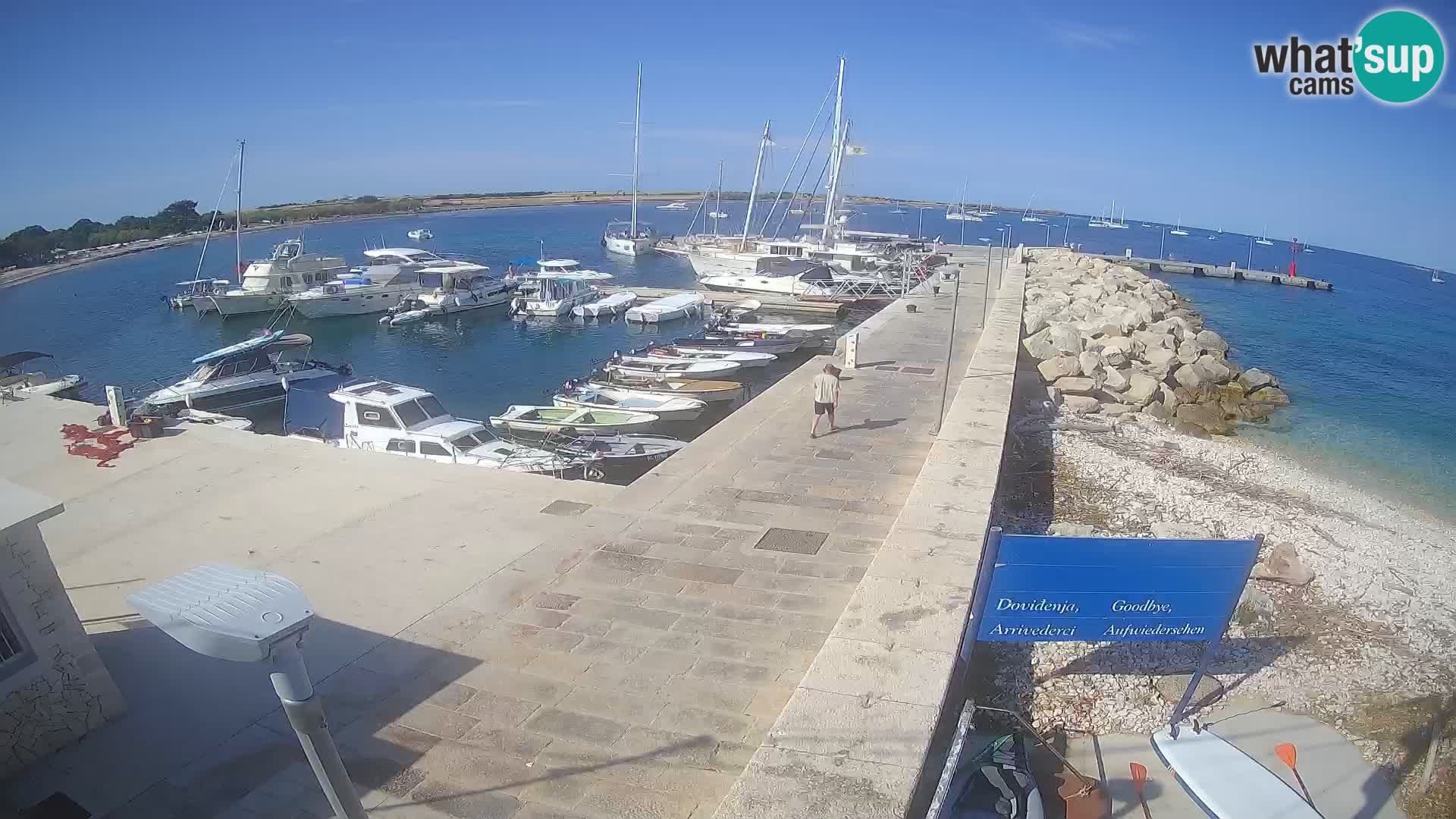 Webcam de l’île d’Unije – Explorez la beauté du joyau caché de la Croatie