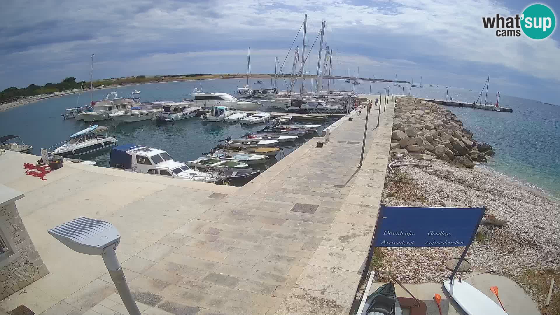 Webcam Isola di Unije – Esplora la bellezza della gemma nascosta della Croazia