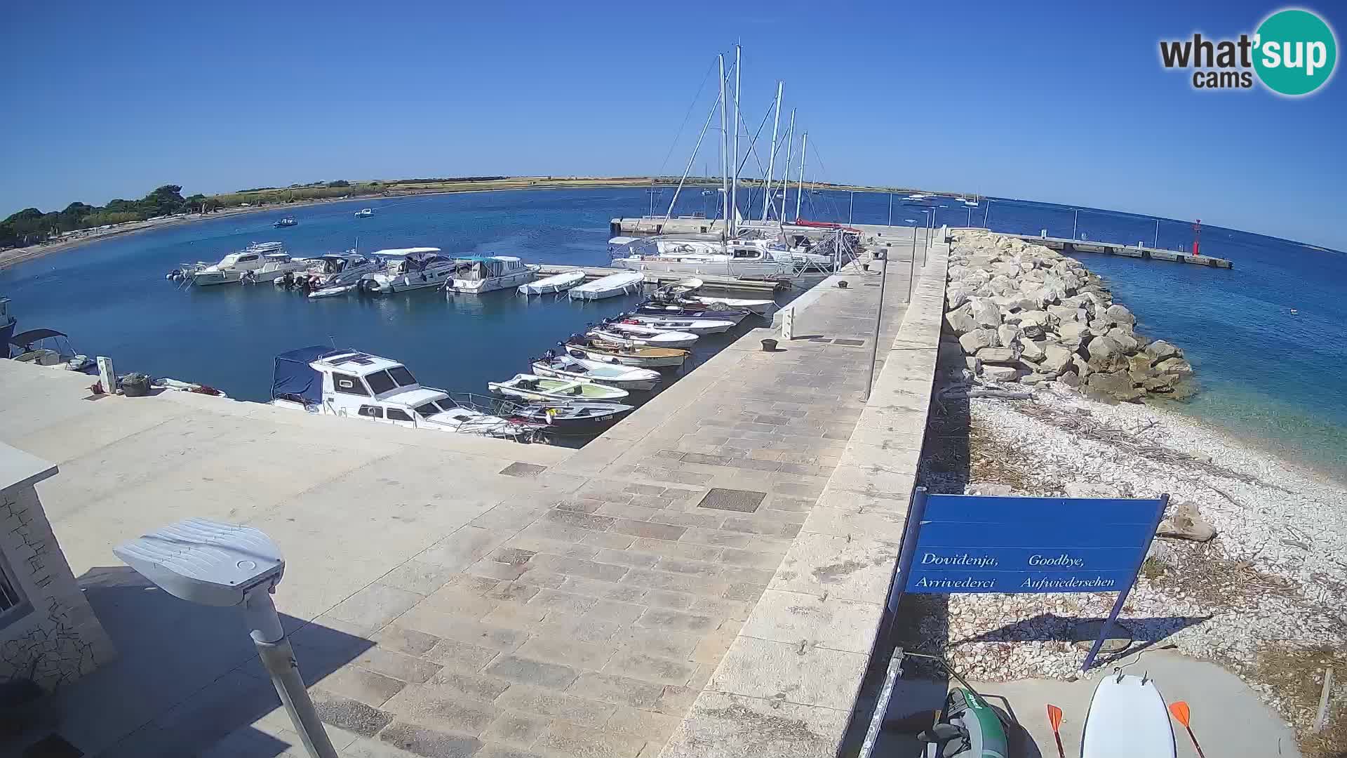 Webcam Isola di Unije – Esplora la bellezza della gemma nascosta della Croazia