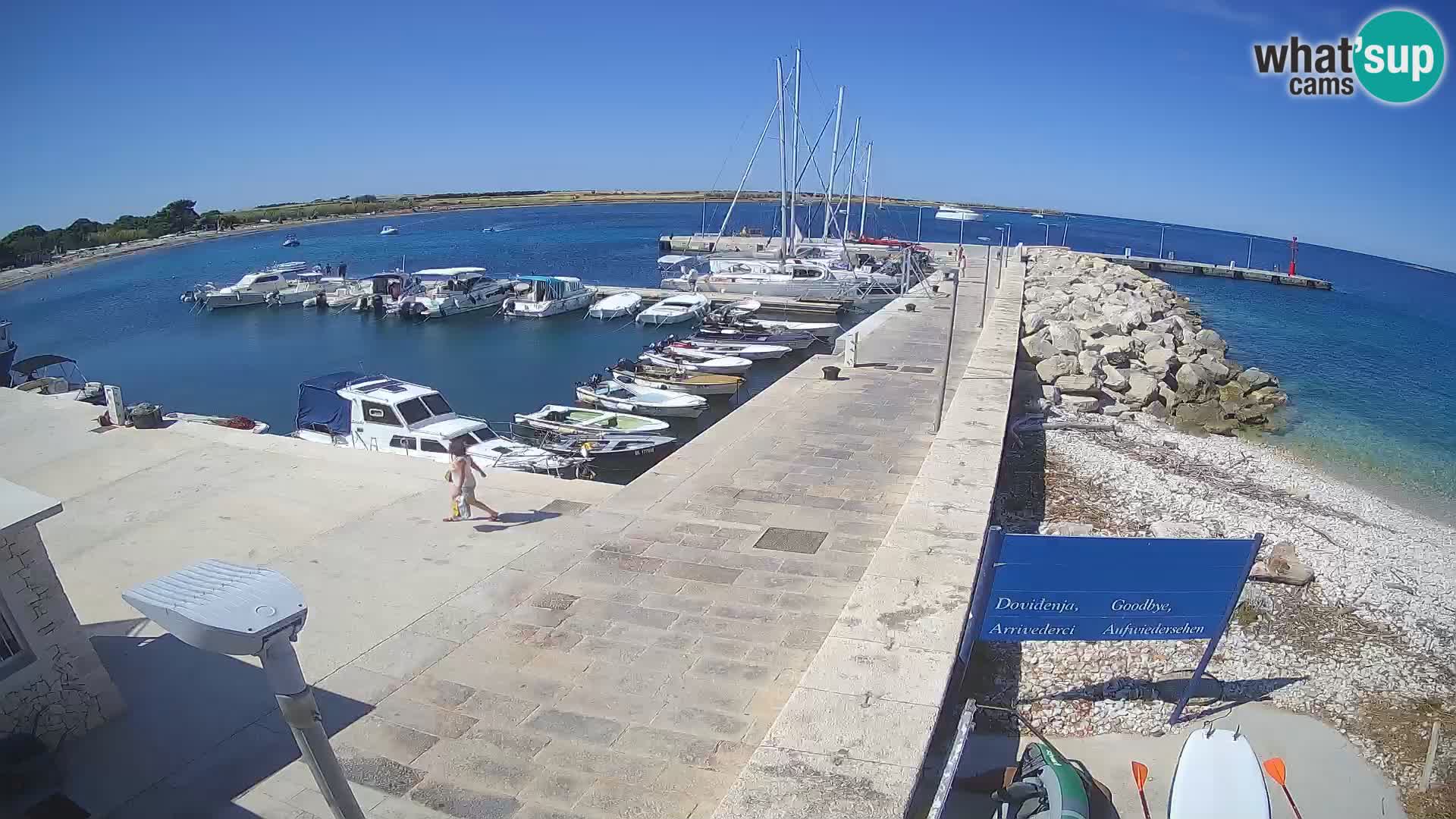 Webcam Isola di Unije – Esplora la bellezza della gemma nascosta della Croazia