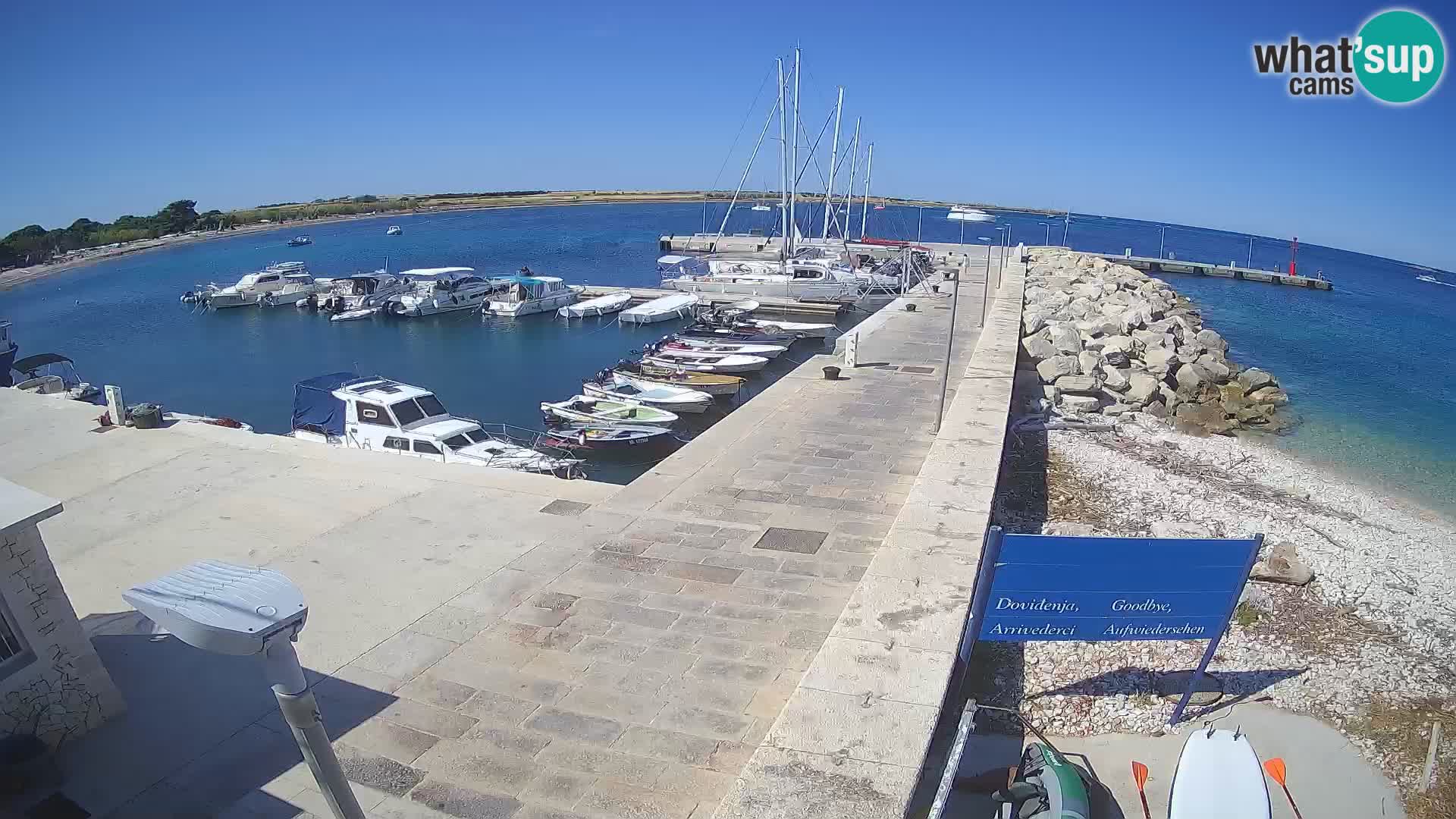 Webcam de l’île d’Unije – Explorez la beauté du joyau caché de la Croatie