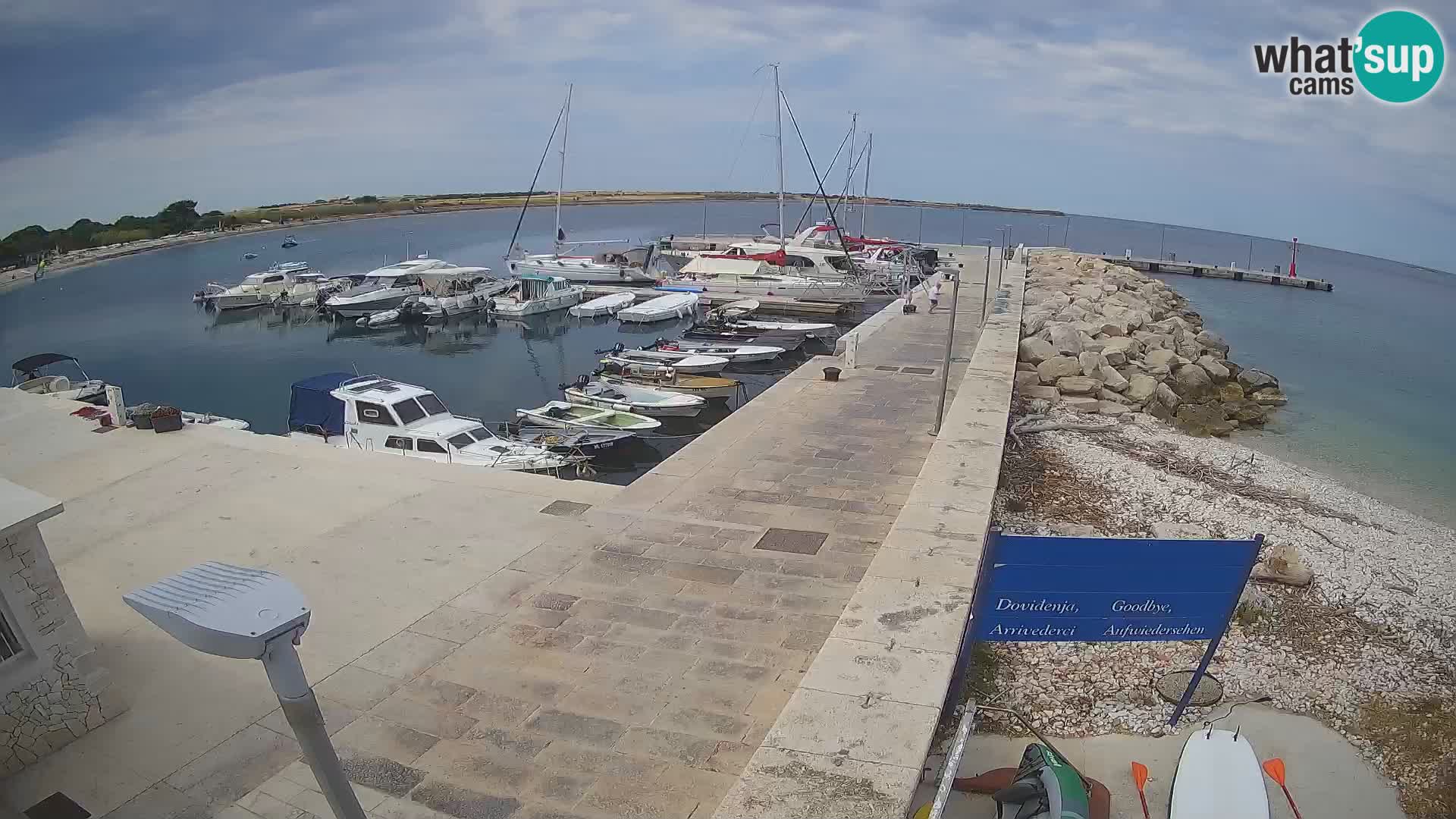 Cámara web de la isla de Unije: explore la belleza de la joya escondida de Croacia