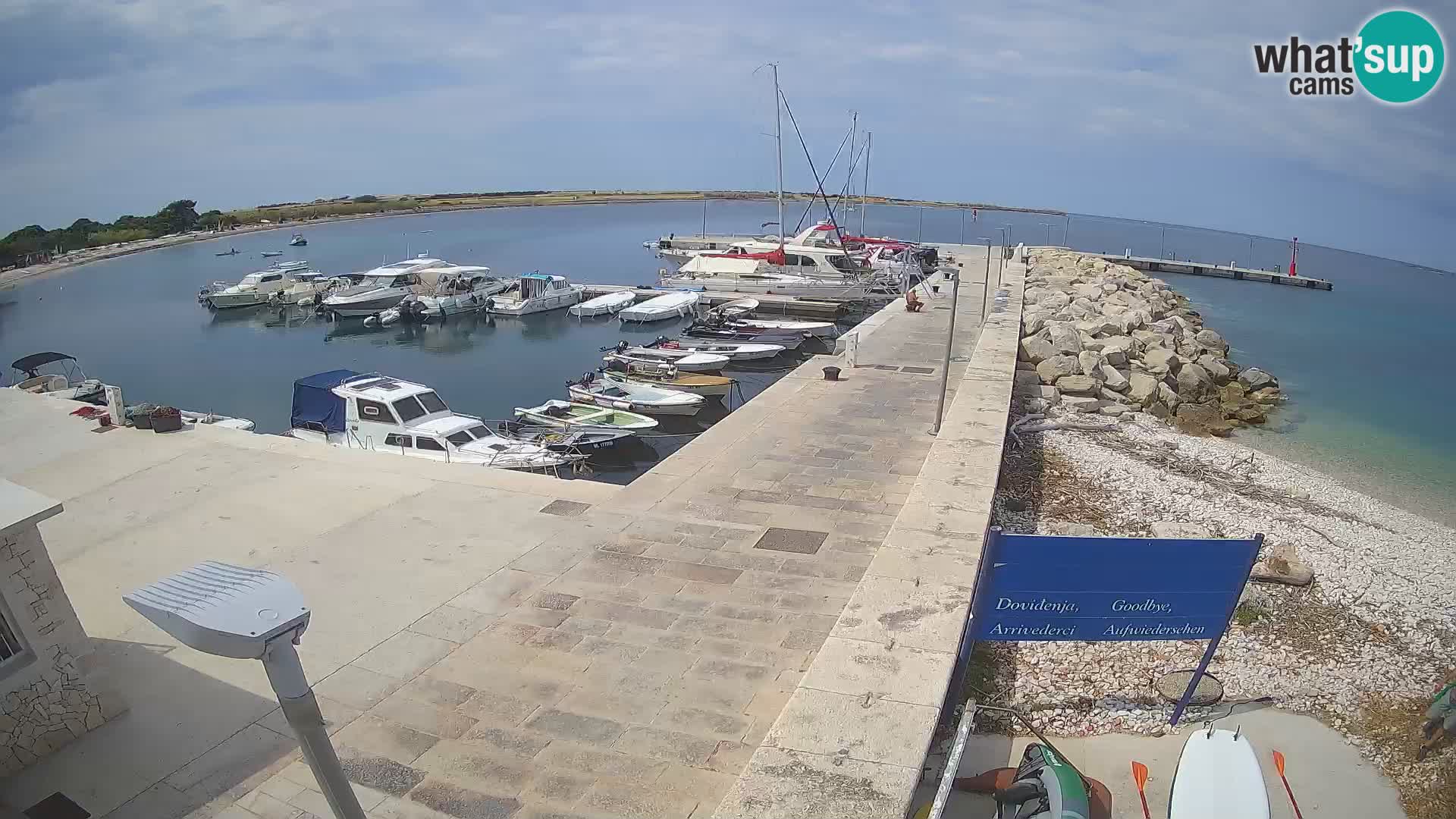 Webcam de l’île d’Unije – Explorez la beauté du joyau caché de la Croatie