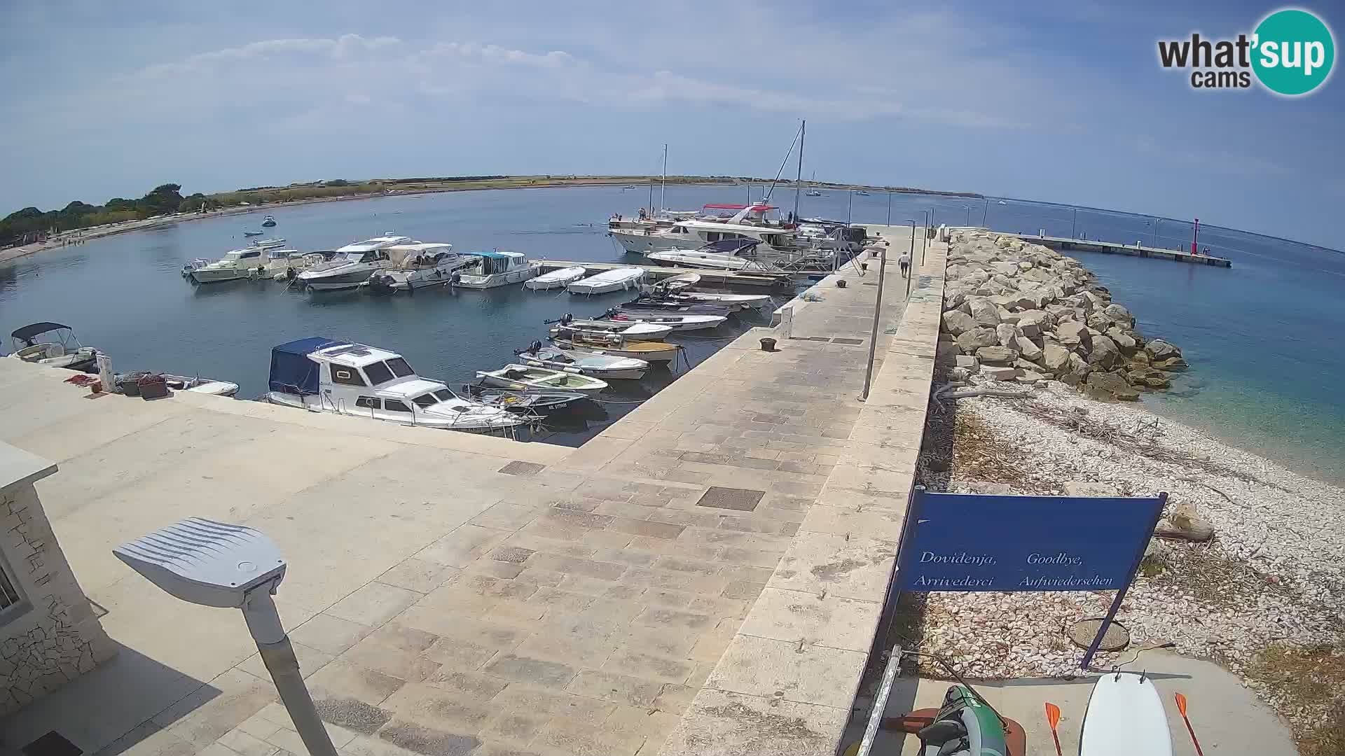 Cámara web de la isla de Unije: explore la belleza de la joya escondida de Croacia