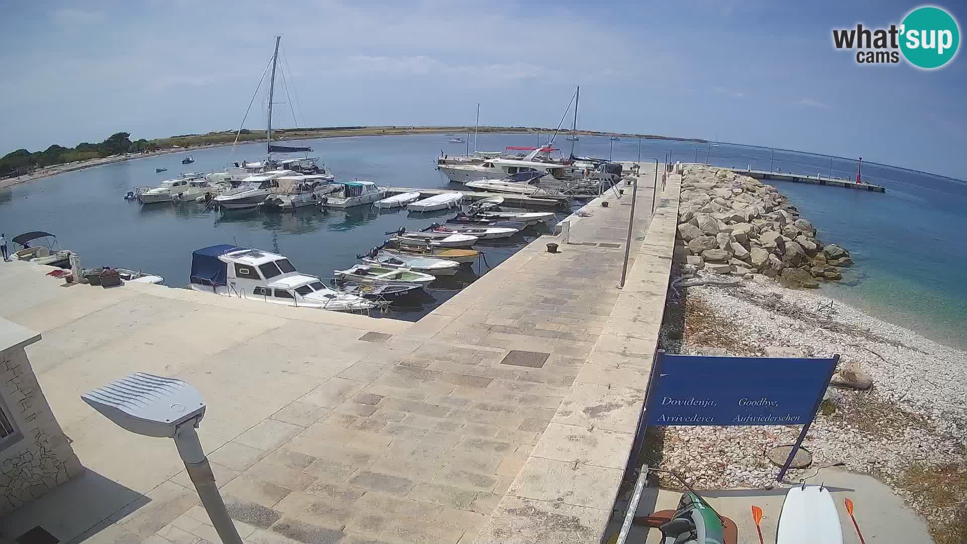 Webcam de l’île d’Unije – Explorez la beauté du joyau caché de la Croatie