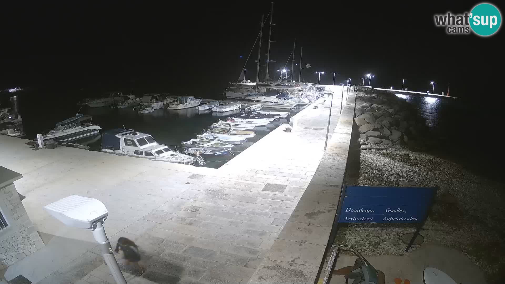 Cámara web de la isla de Unije: explore la belleza de la joya escondida de Croacia