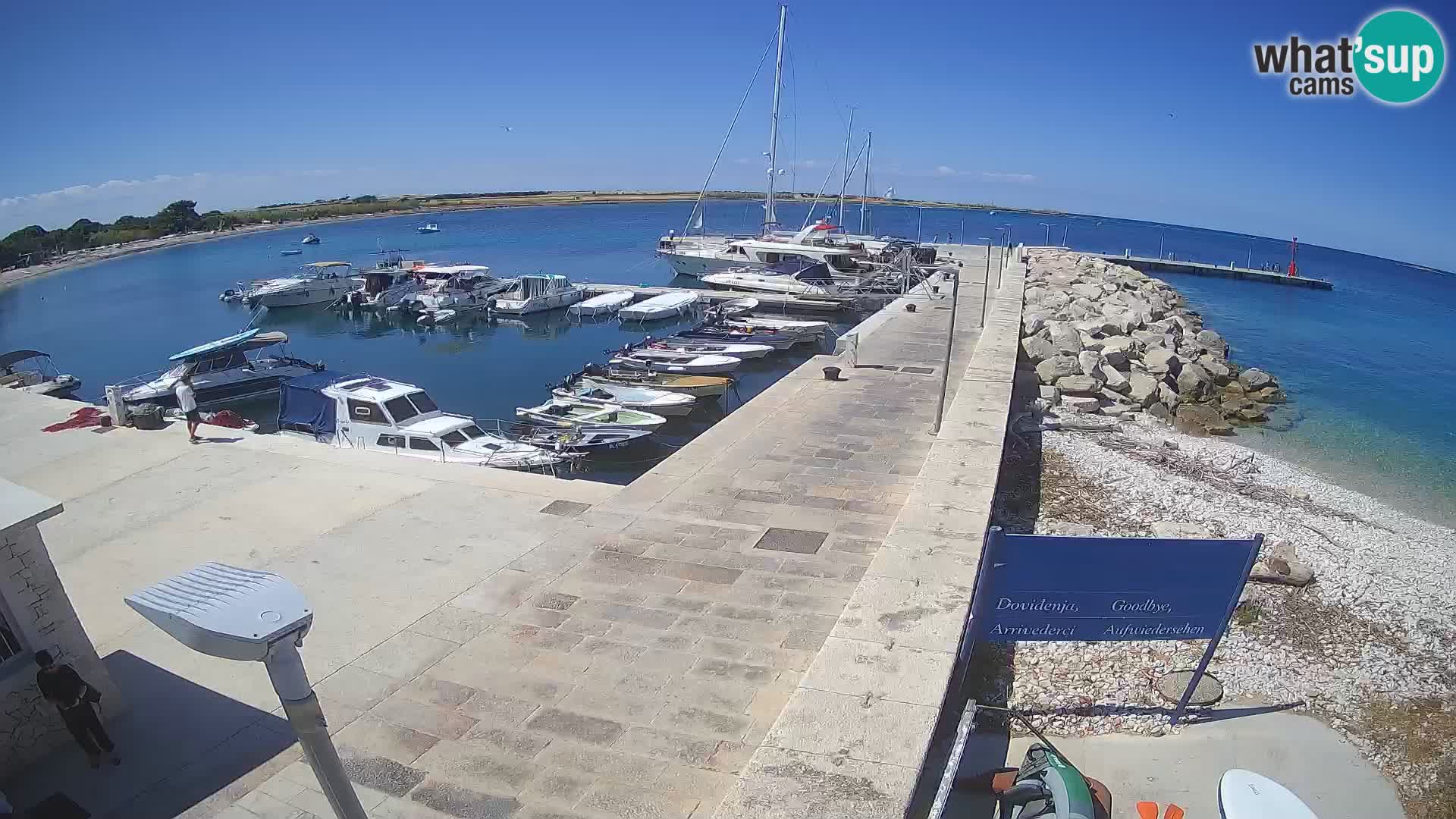 Unije Island Webcam – Explore the Beauty of Croatia’s Hidden Gem