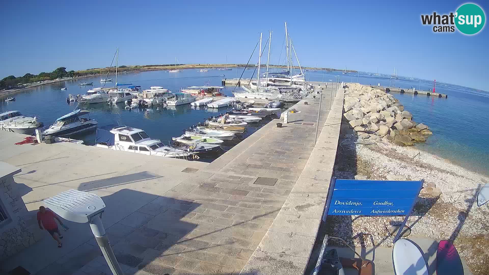 Webcam de l’île d’Unije – Explorez la beauté du joyau caché de la Croatie