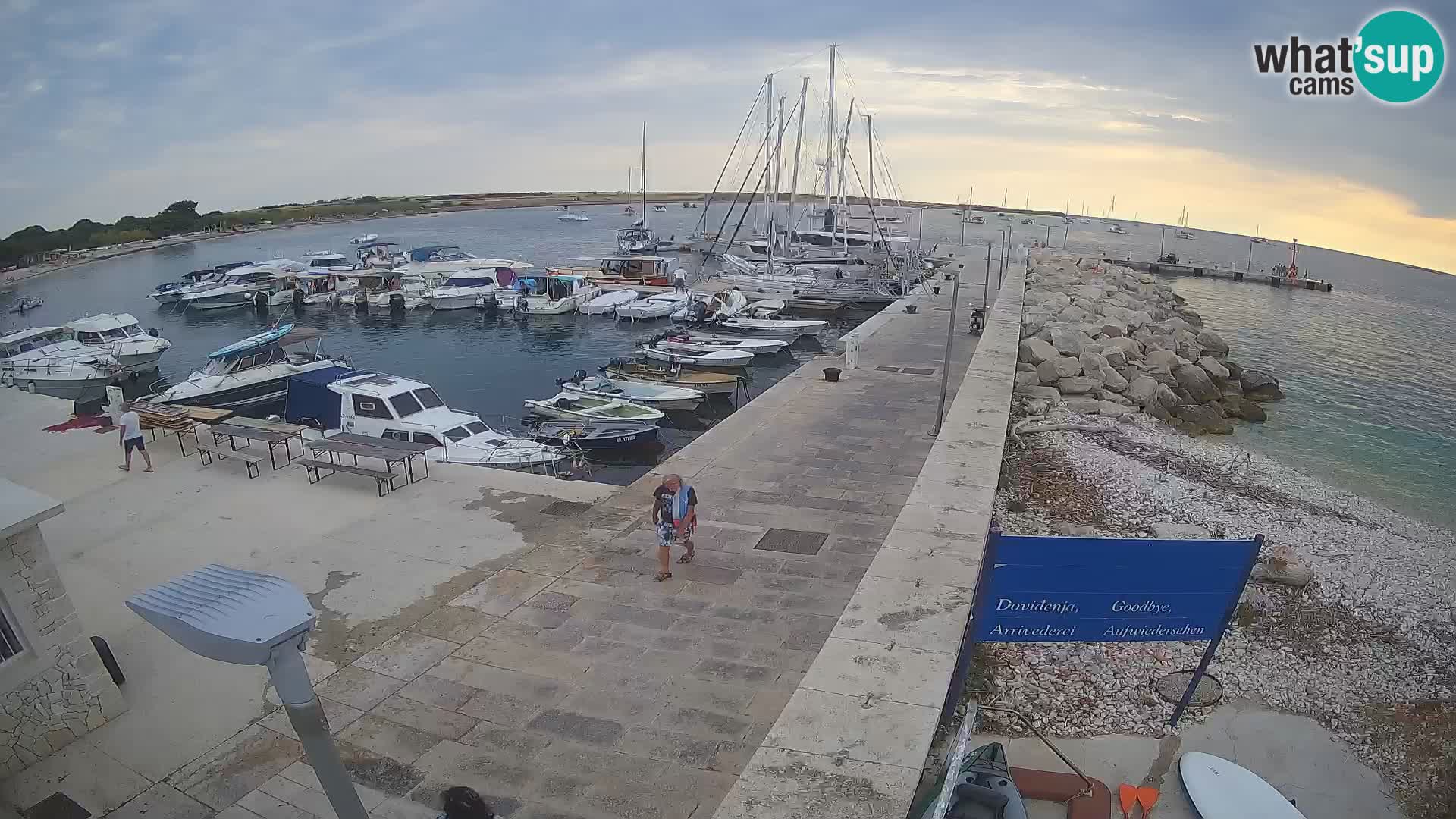 Cámara web de la isla de Unije: explore la belleza de la joya escondida de Croacia