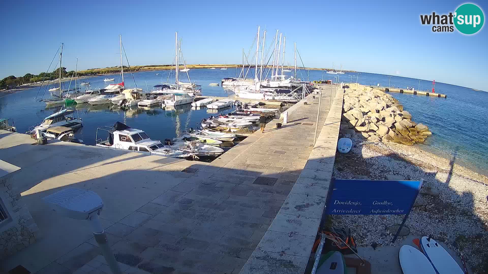 Cámara web de la isla de Unije: explore la belleza de la joya escondida de Croacia