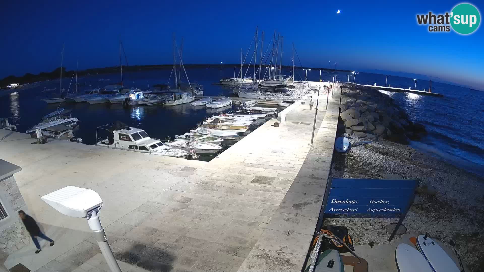 Cámara web de la isla de Unije: explore la belleza de la joya escondida de Croacia