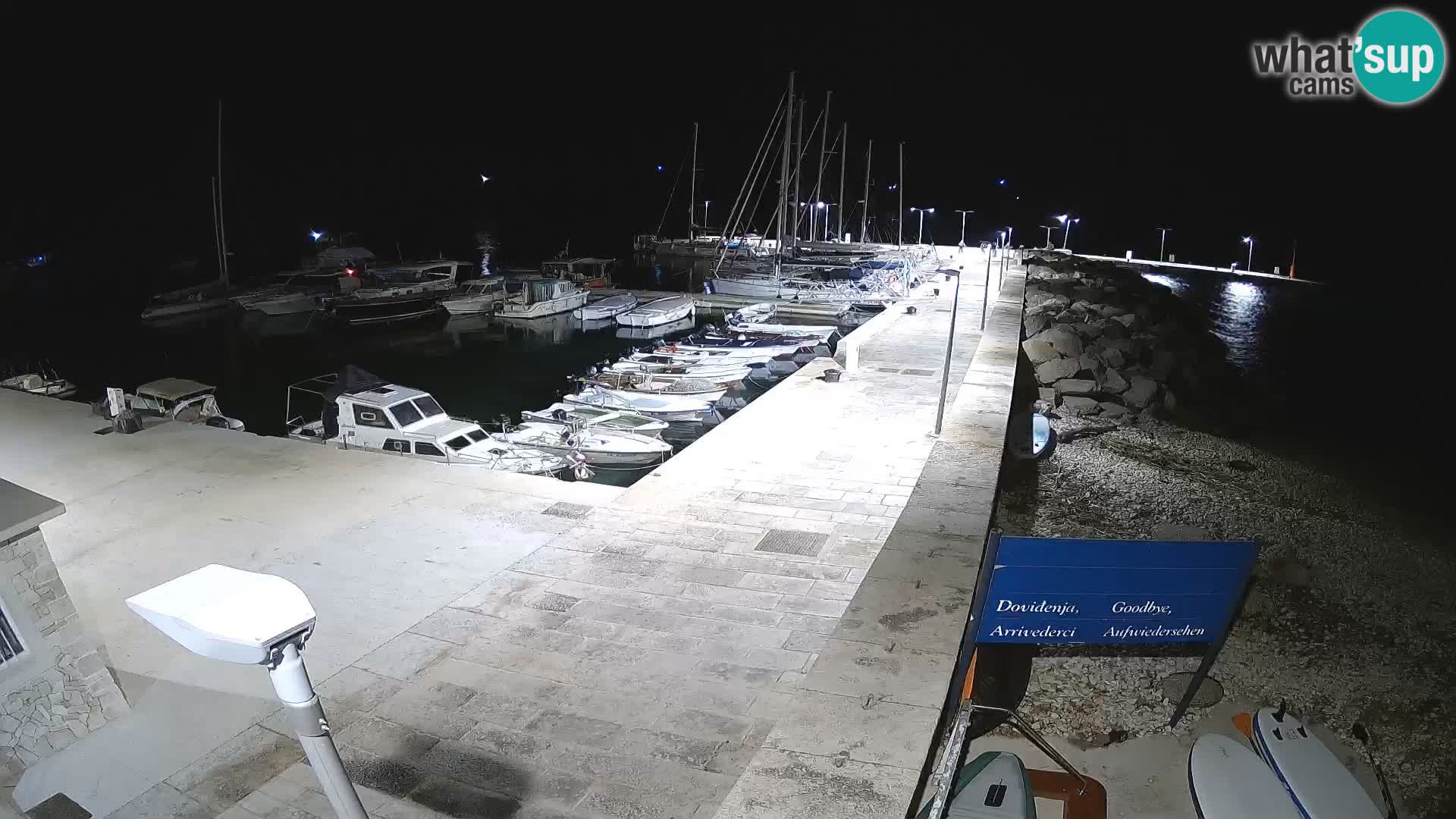 Cámara web de la isla de Unije: explore la belleza de la joya escondida de Croacia
