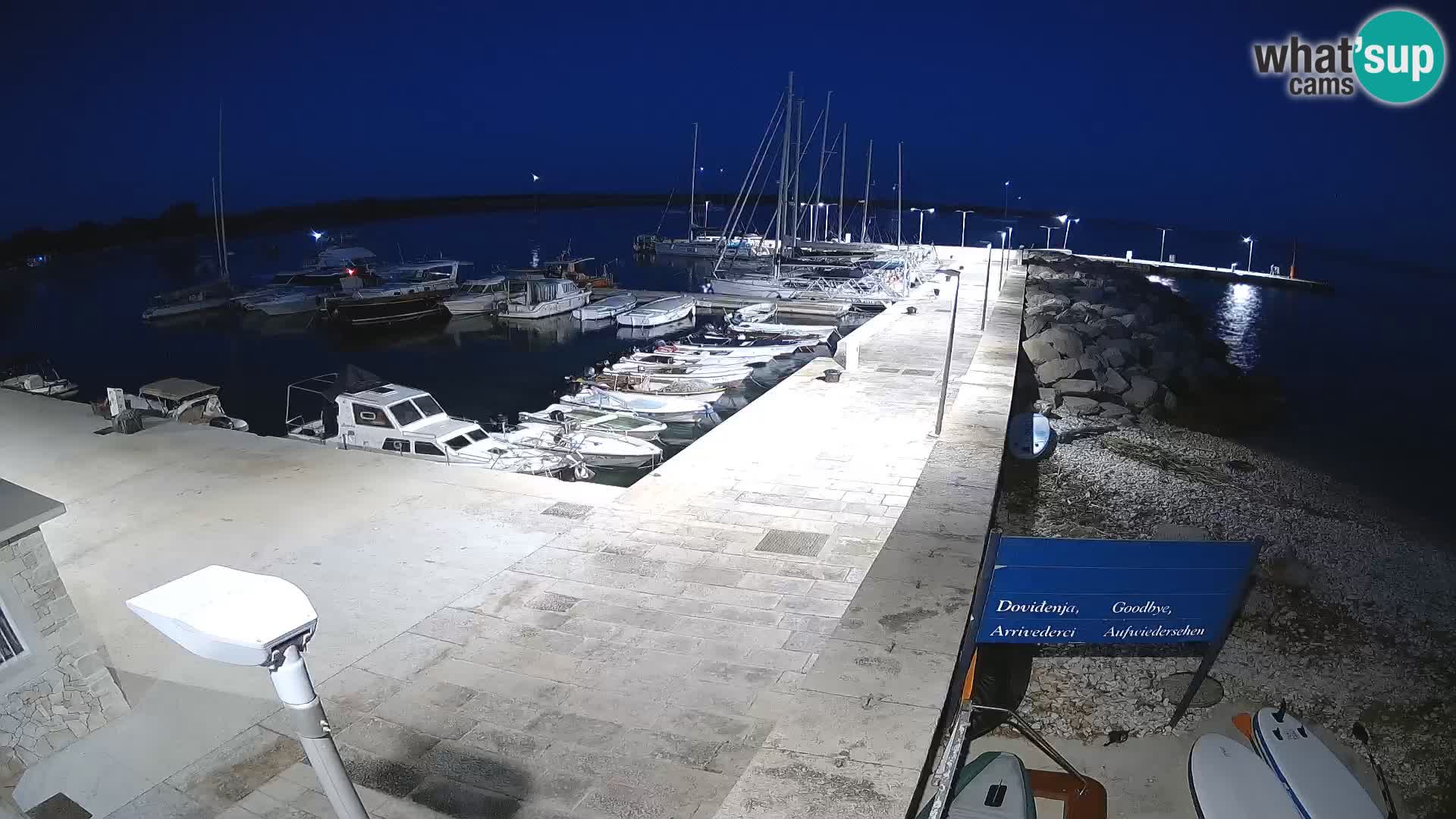 Cámara web de la isla de Unije: explore la belleza de la joya escondida de Croacia