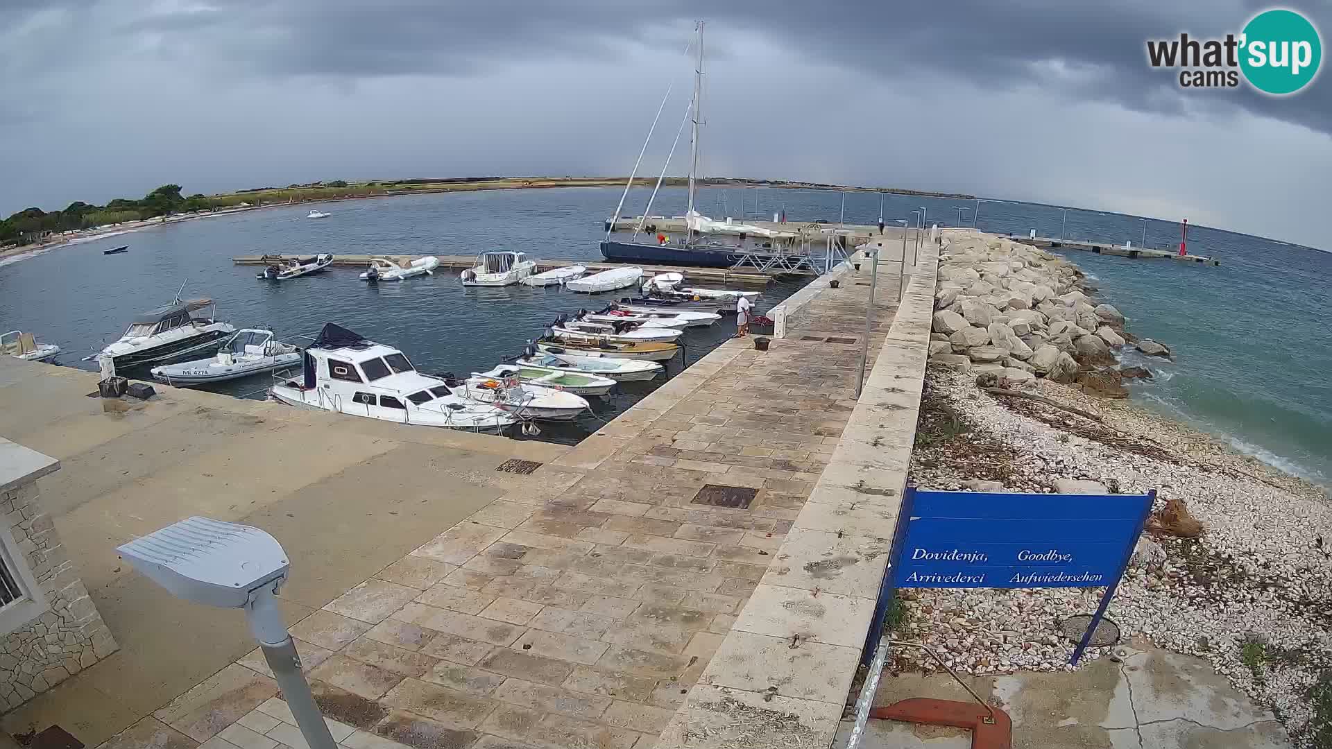 Cámara web de la isla de Unije: explore la belleza de la joya escondida de Croacia
