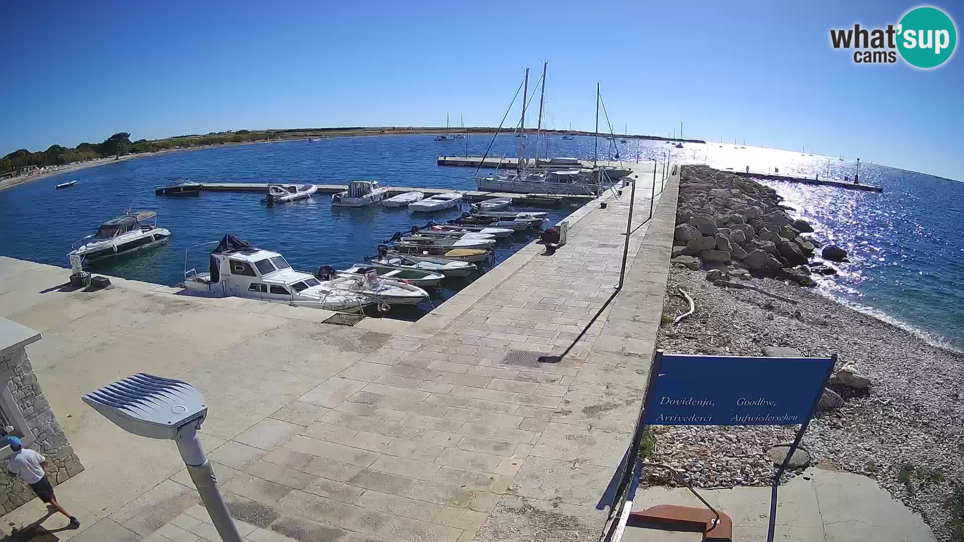 Webcam de l’île d’Unije – Explorez la beauté du joyau caché de la Croatie