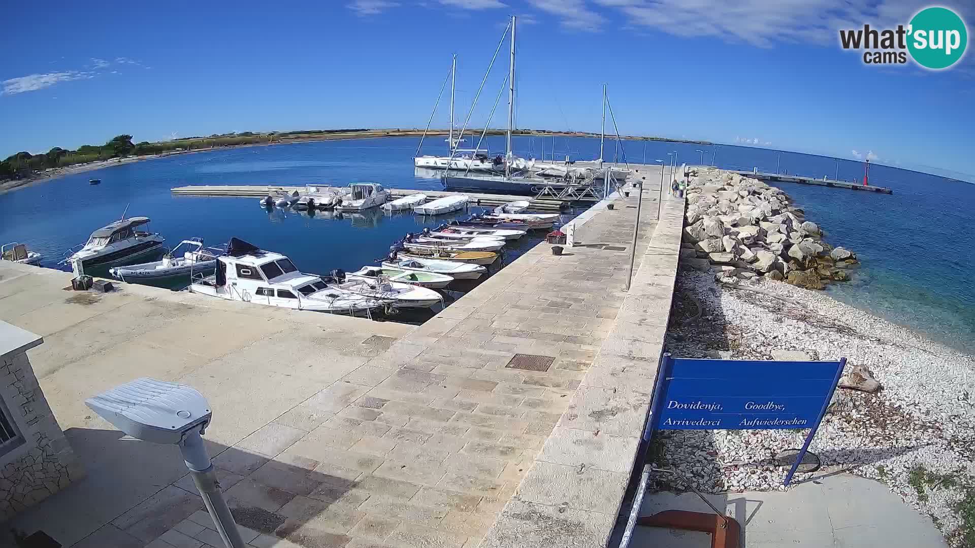 Webcam Isola di Unije – Esplora la bellezza della gemma nascosta della Croazia