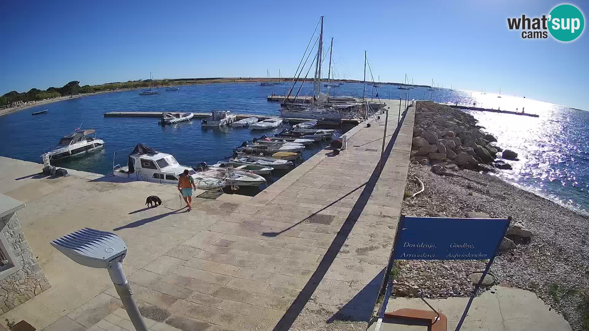 Webcam de l’île d’Unije – Explorez la beauté du joyau caché de la Croatie