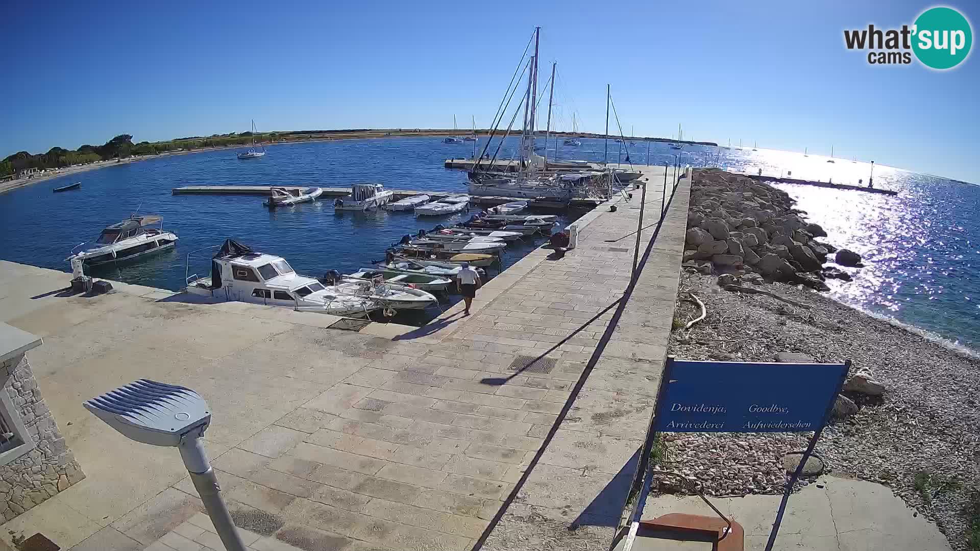 Webcam de l’île d’Unije – Explorez la beauté du joyau caché de la Croatie