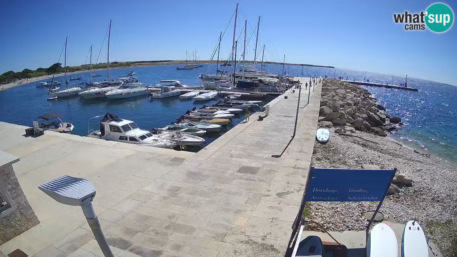 Webcam Isola di Unije – Esplora la bellezza della gemma nascosta della Croazia