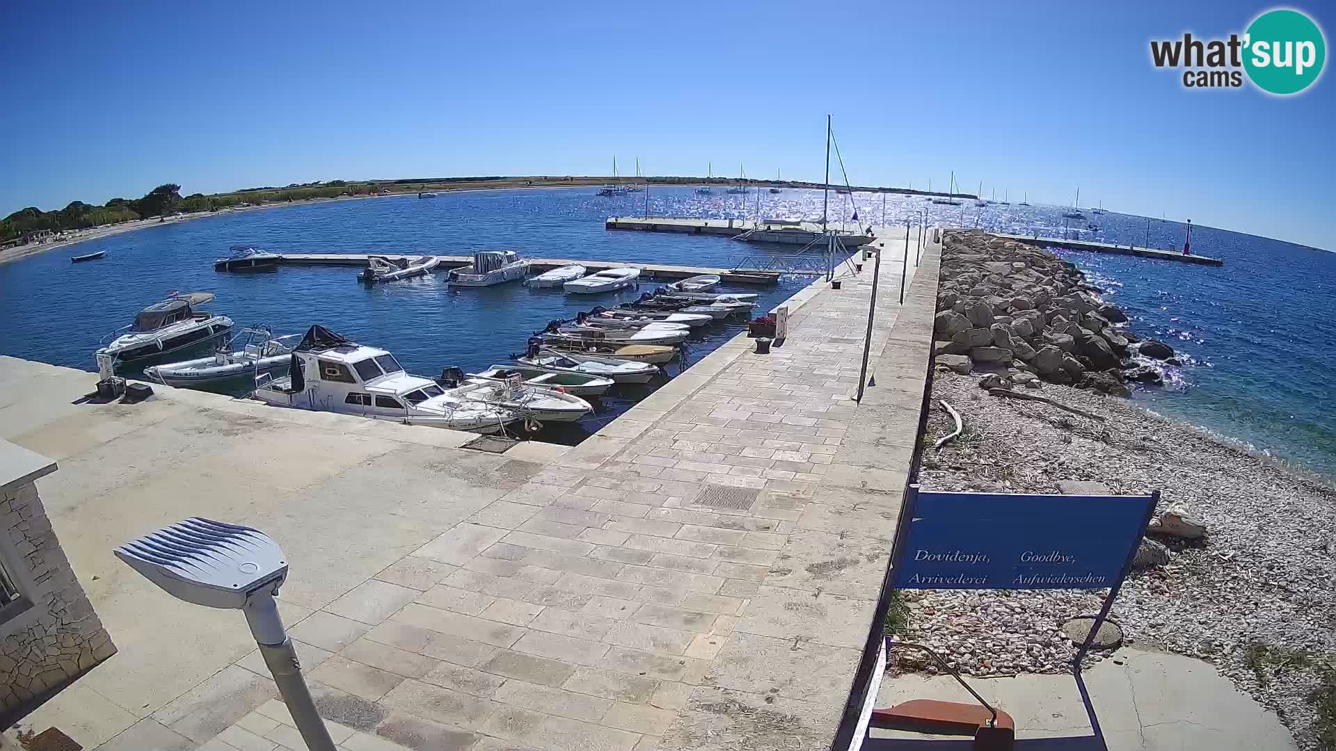 Cámara web de la isla de Unije: explore la belleza de la joya escondida de Croacia