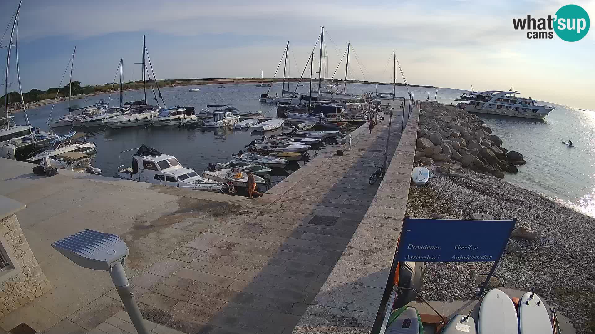 Cámara web de la isla de Unije: explore la belleza de la joya escondida de Croacia