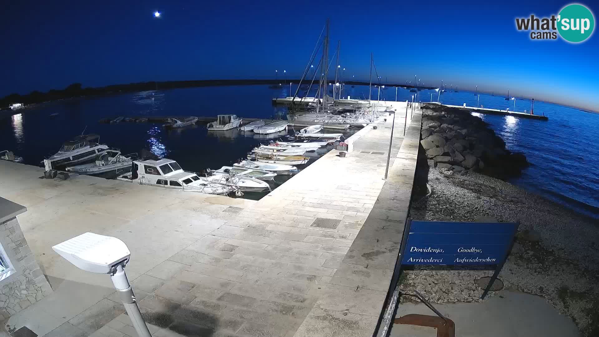 Webcam de l’île d’Unije – Explorez la beauté du joyau caché de la Croatie