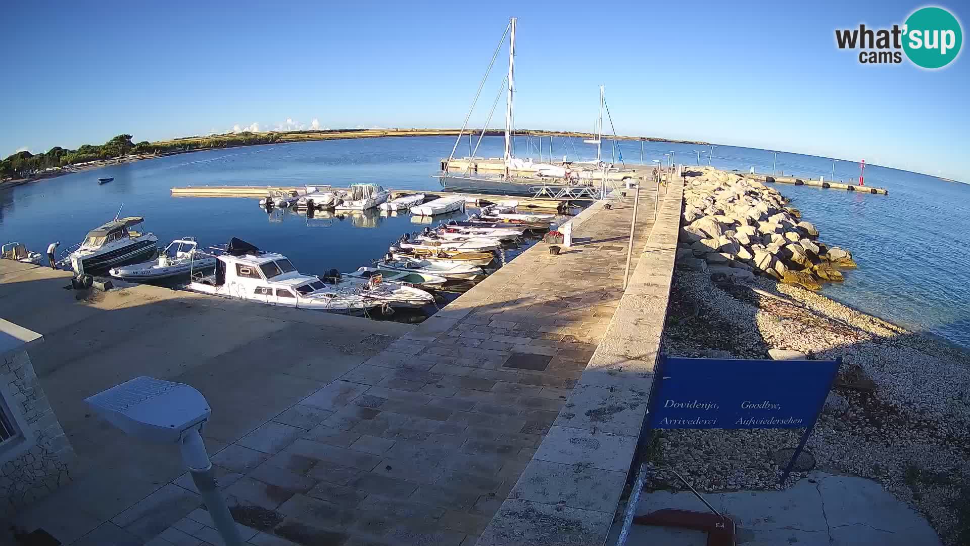 Cámara web de la isla de Unije: explore la belleza de la joya escondida de Croacia