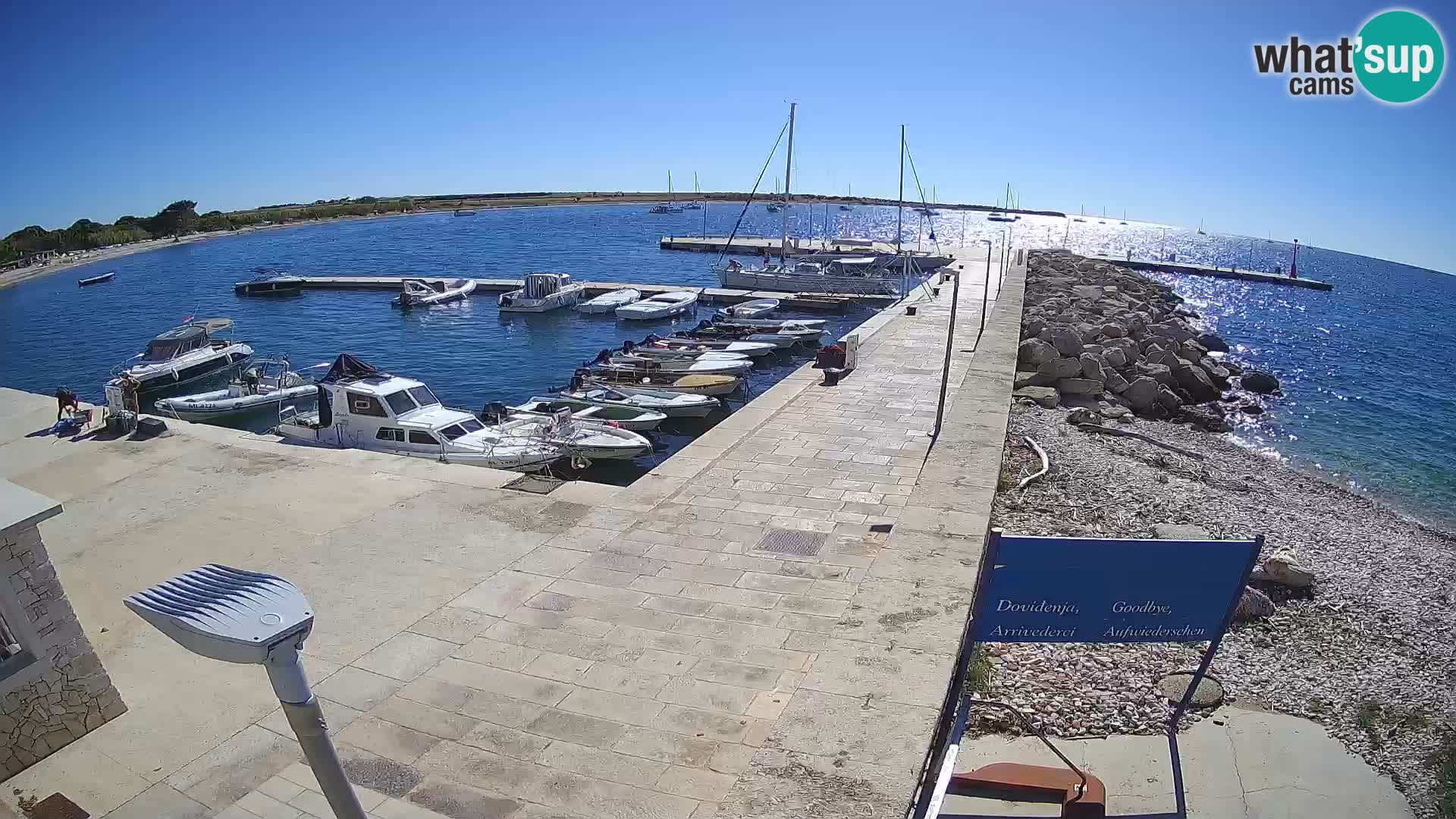Webcam Isola di Unije – Esplora la bellezza della gemma nascosta della Croazia