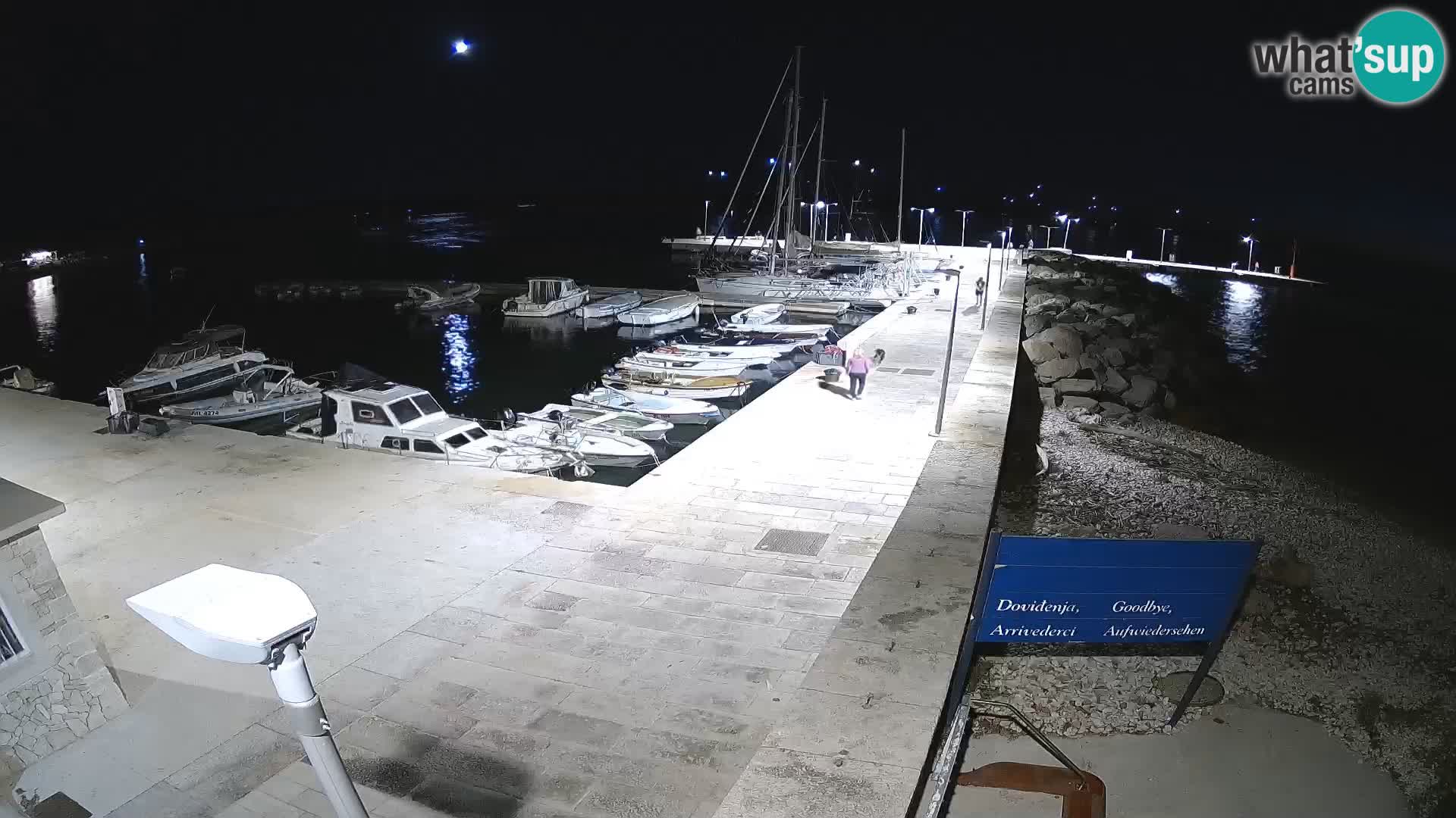 Cámara web de la isla de Unije: explore la belleza de la joya escondida de Croacia