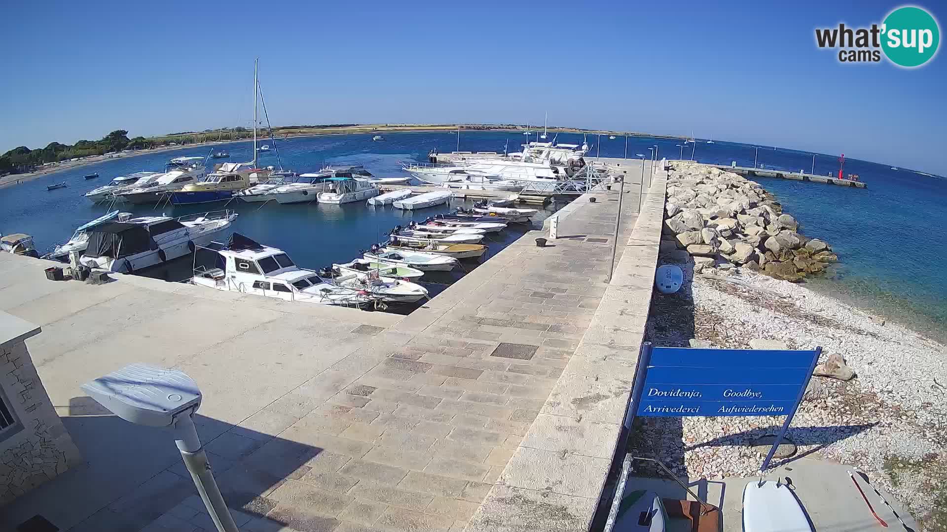 Cámara web de la isla de Unije: explore la belleza de la joya escondida de Croacia