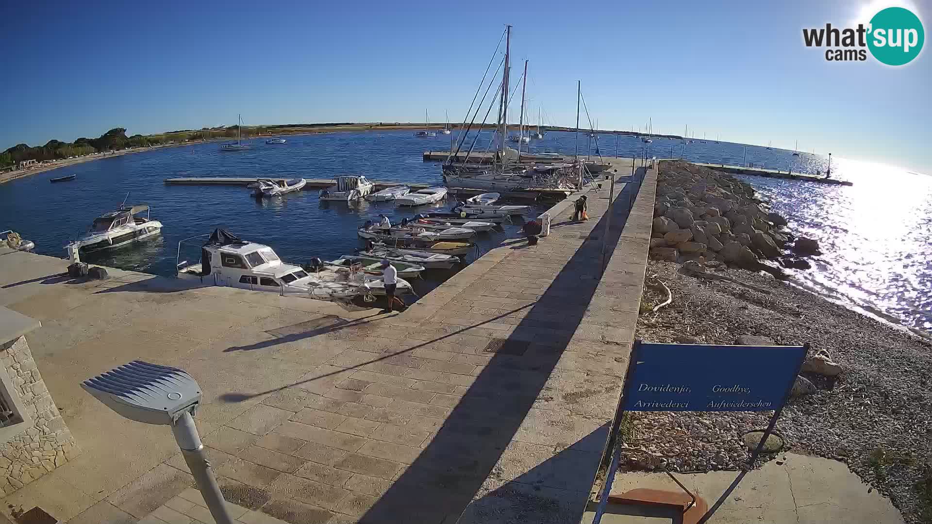 Cámara web de la isla de Unije: explore la belleza de la joya escondida de Croacia