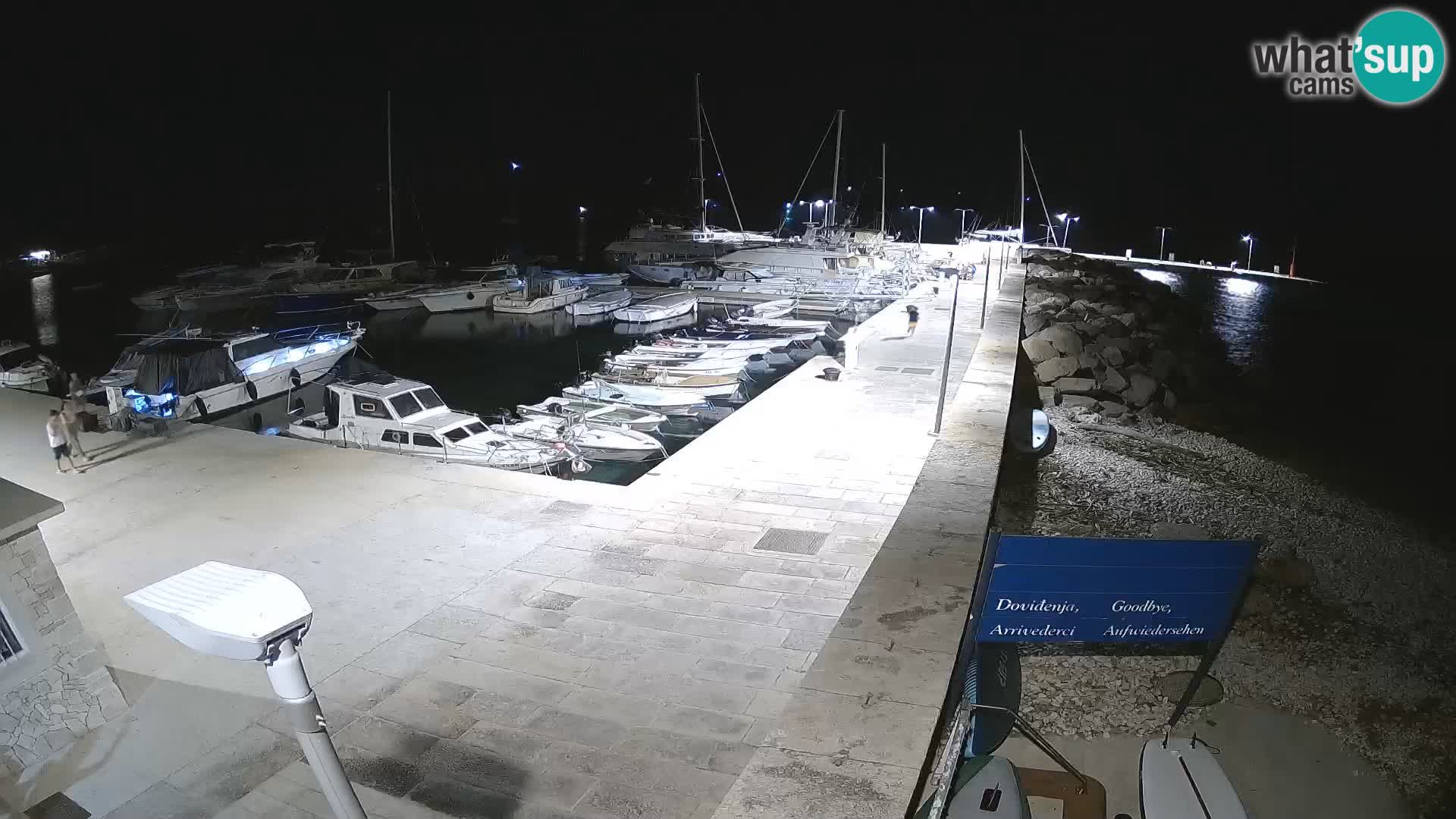 Insel Unije Webcam – Entdecken Sie die Schönheit von Kroatiens verstecktem Juwel