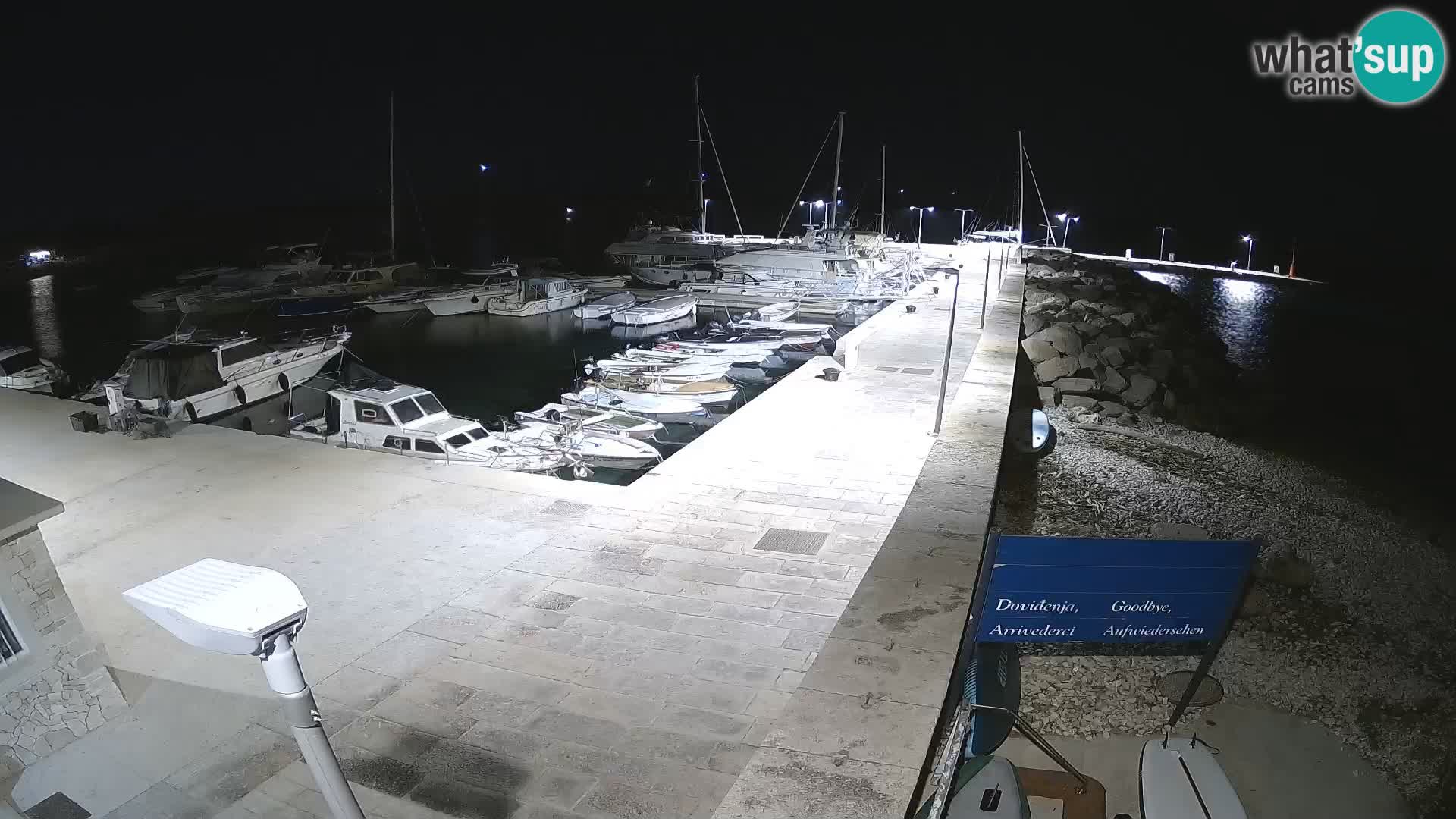 Webcam de l’île d’Unije – Explorez la beauté du joyau caché de la Croatie