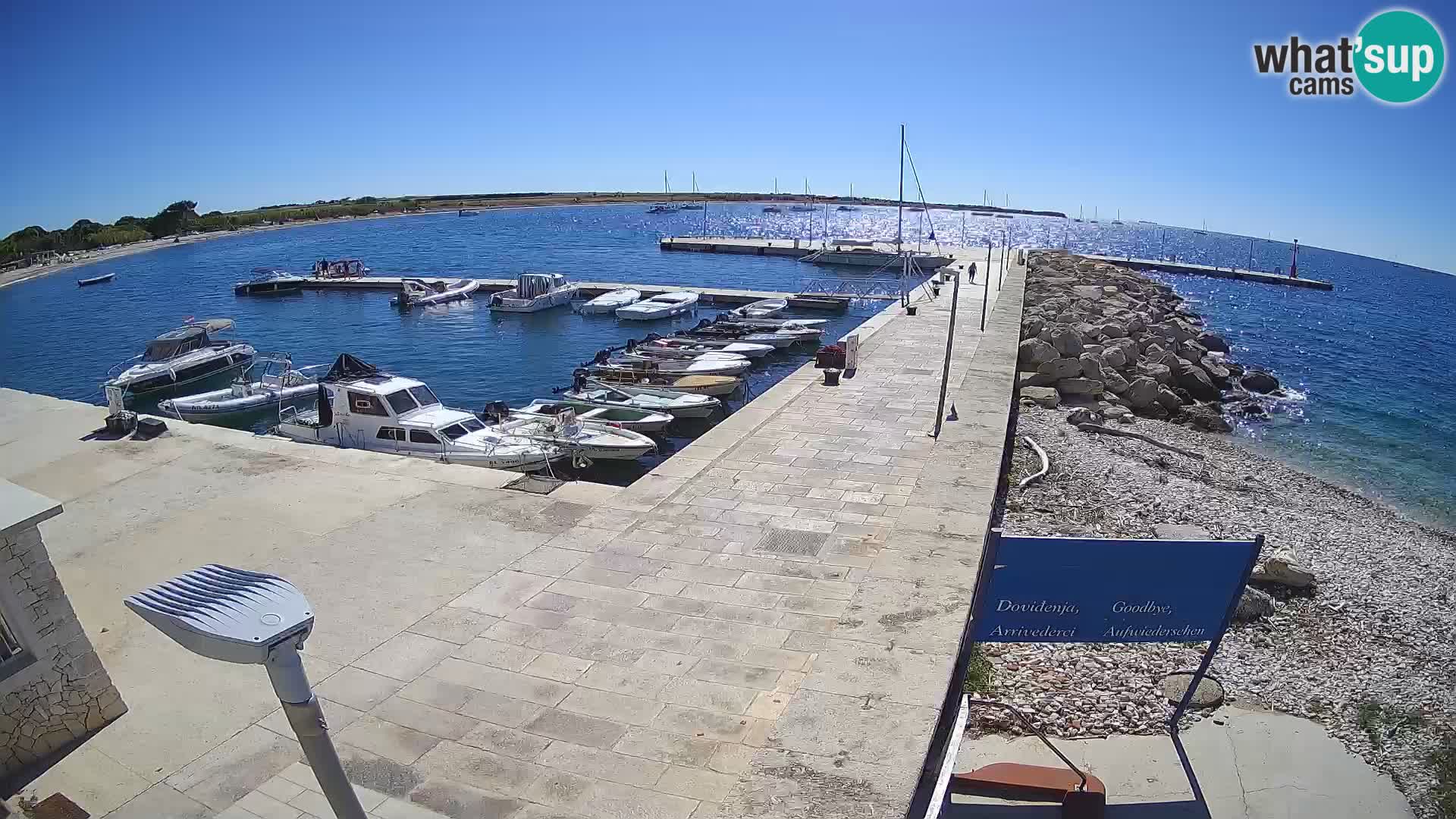 Cámara web de la isla de Unije: explore la belleza de la joya escondida de Croacia
