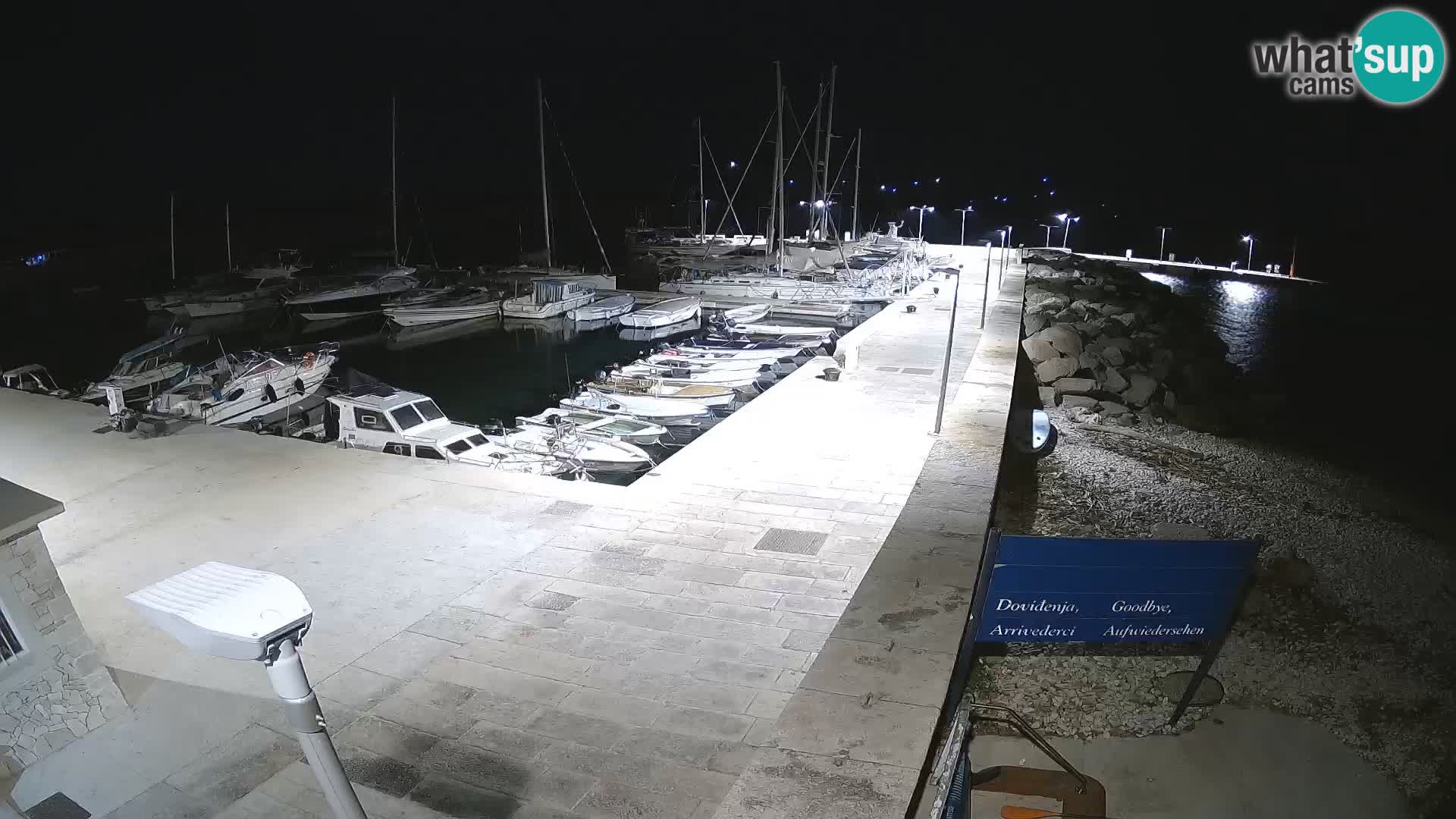 Cámara web de la isla de Unije: explore la belleza de la joya escondida de Croacia
