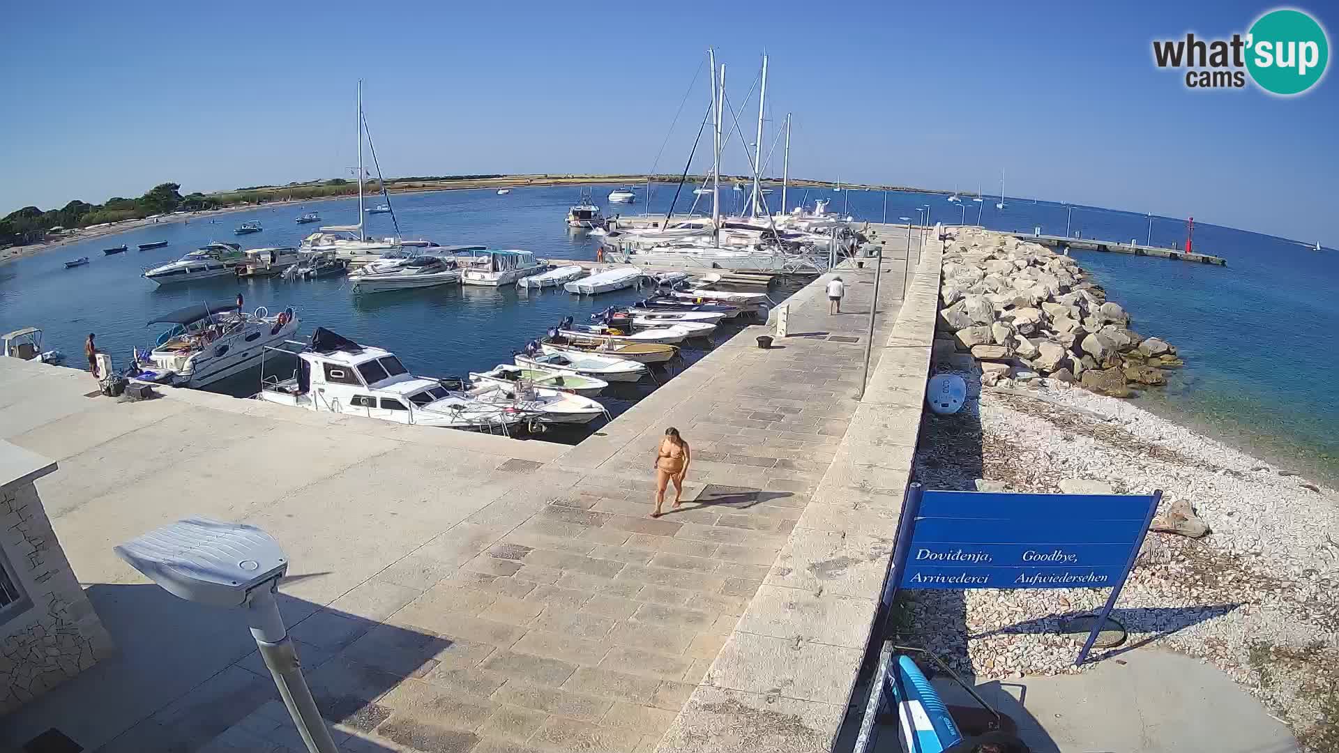 Cámara web de la isla de Unije: explore la belleza de la joya escondida de Croacia