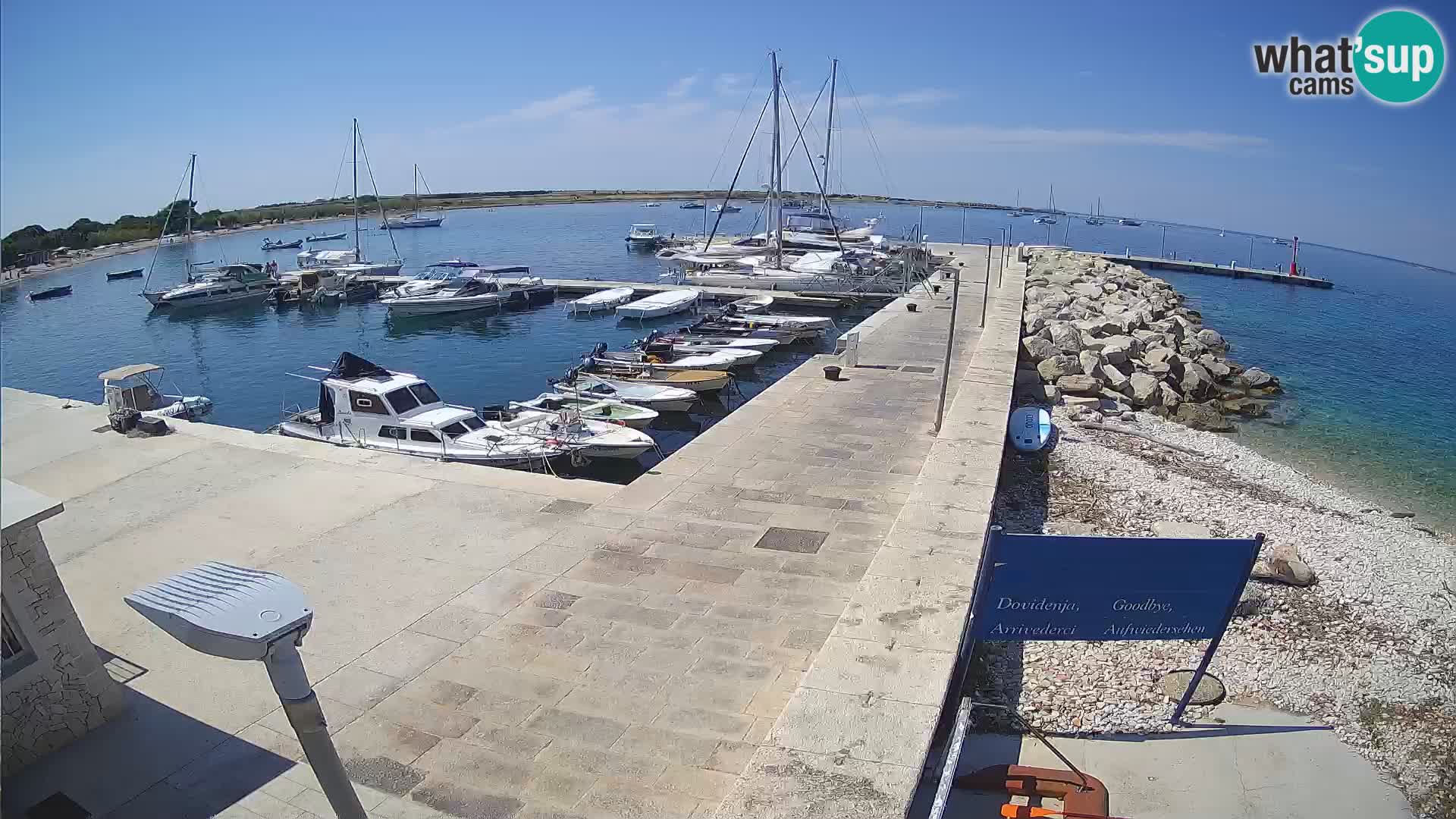 Cámara web de la isla de Unije: explore la belleza de la joya escondida de Croacia