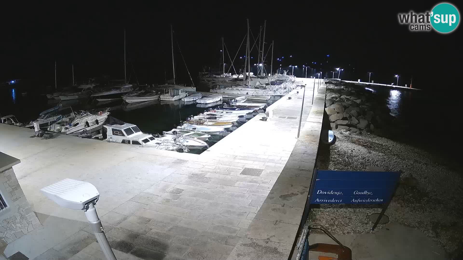 Cámara web de la isla de Unije: explore la belleza de la joya escondida de Croacia