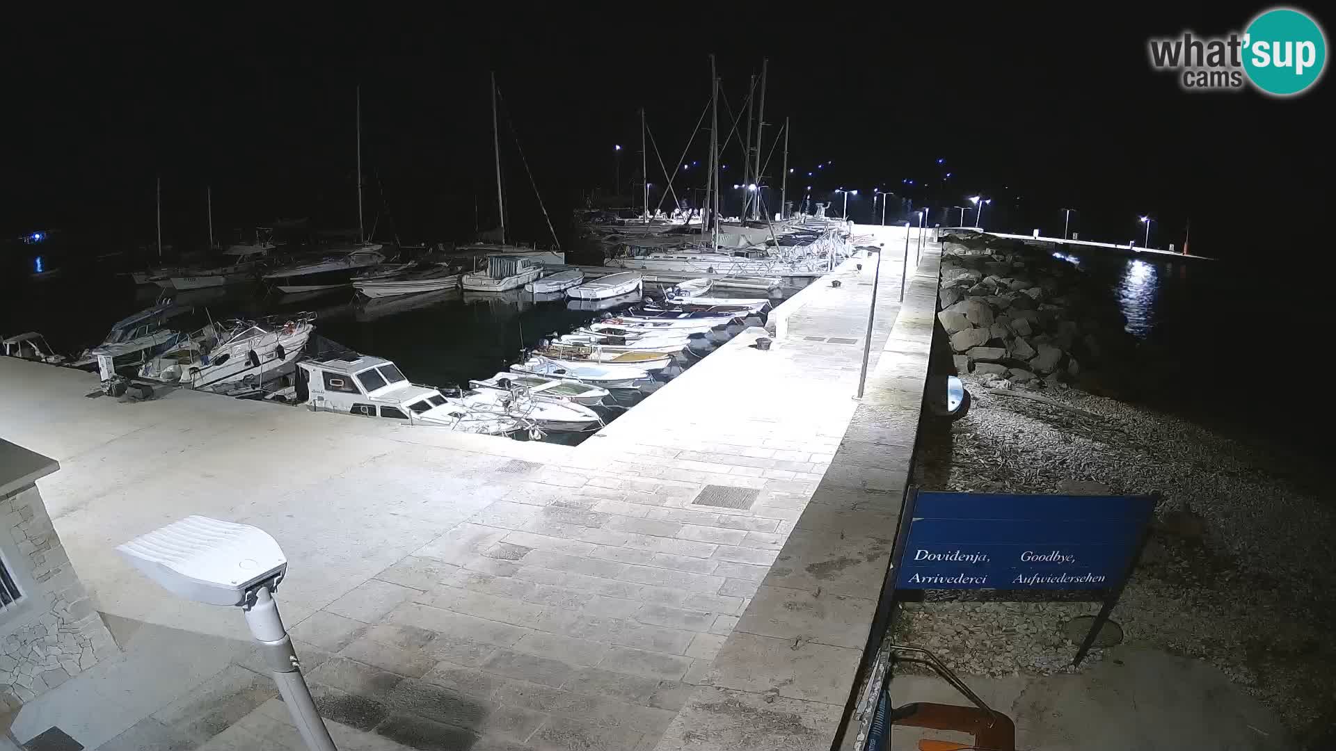 Cámara web de la isla de Unije: explore la belleza de la joya escondida de Croacia
