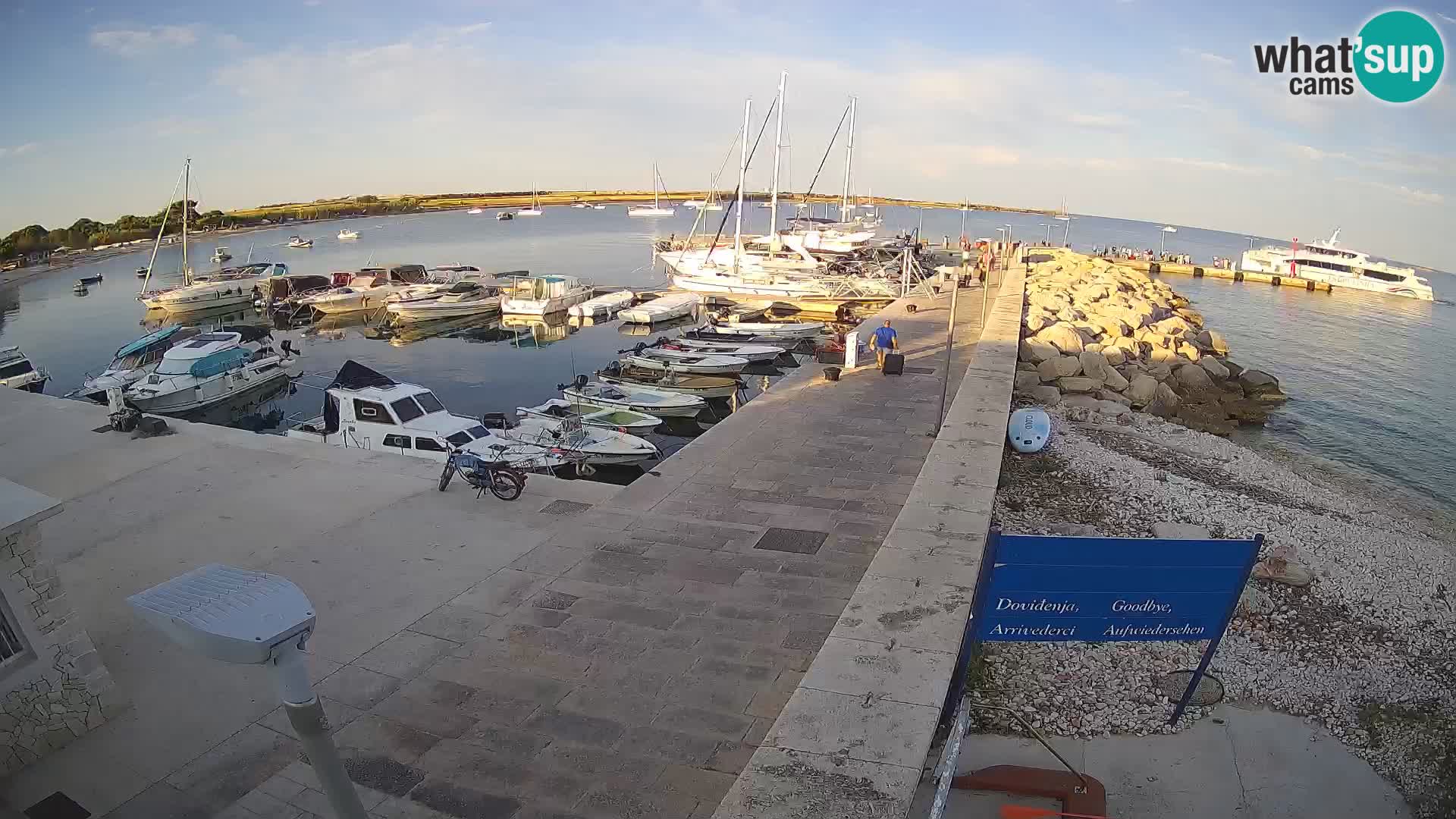Unije Island Webcam – Explore the Beauty of Croatia’s Hidden Gem