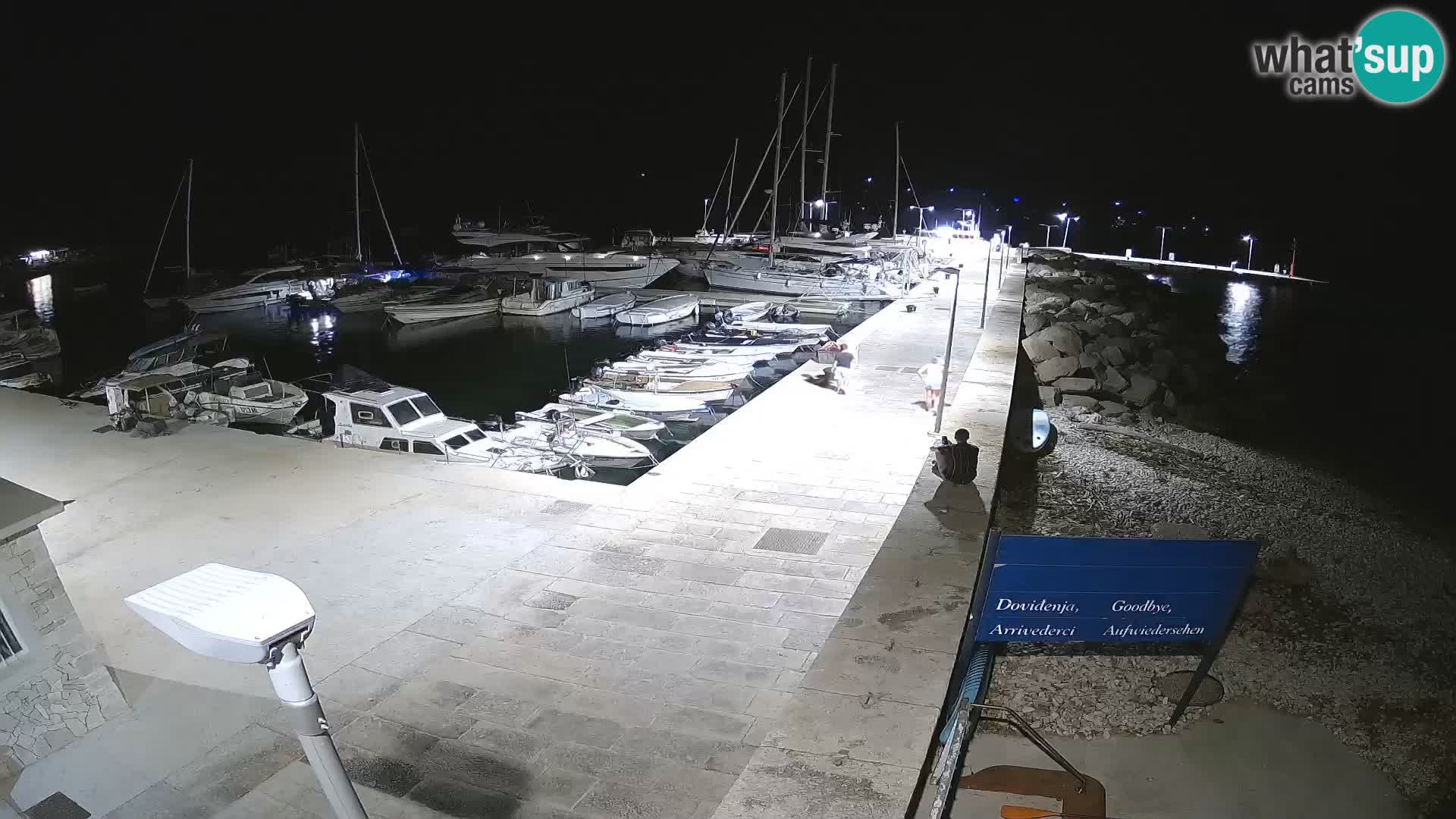 Webcam de l’île d’Unije – Explorez la beauté du joyau caché de la Croatie