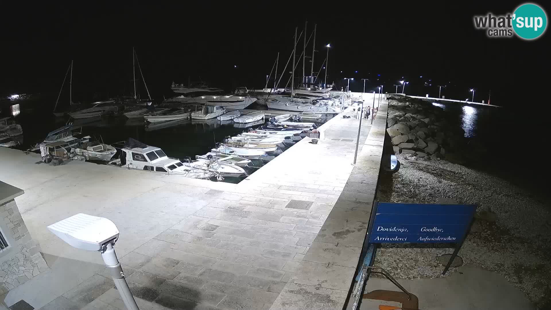 Cámara web de la isla de Unije: explore la belleza de la joya escondida de Croacia