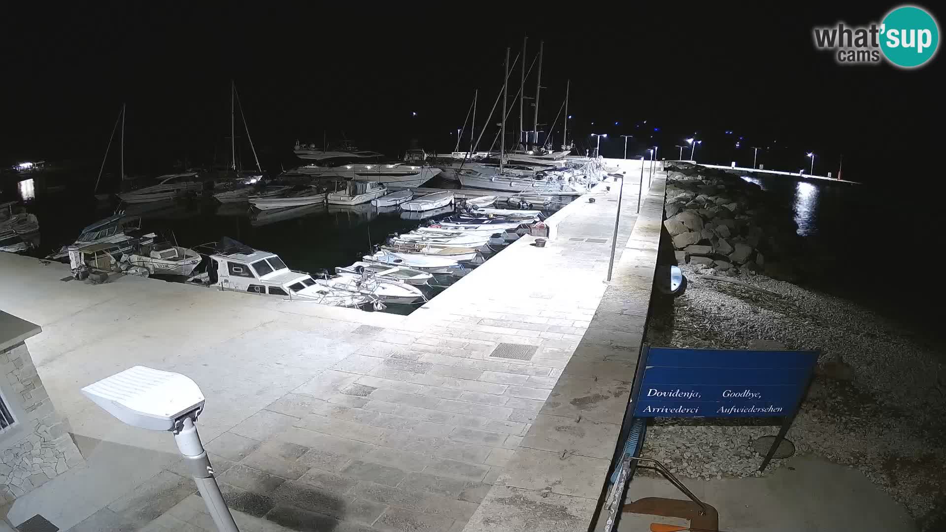 Cámara web de la isla de Unije: explore la belleza de la joya escondida de Croacia