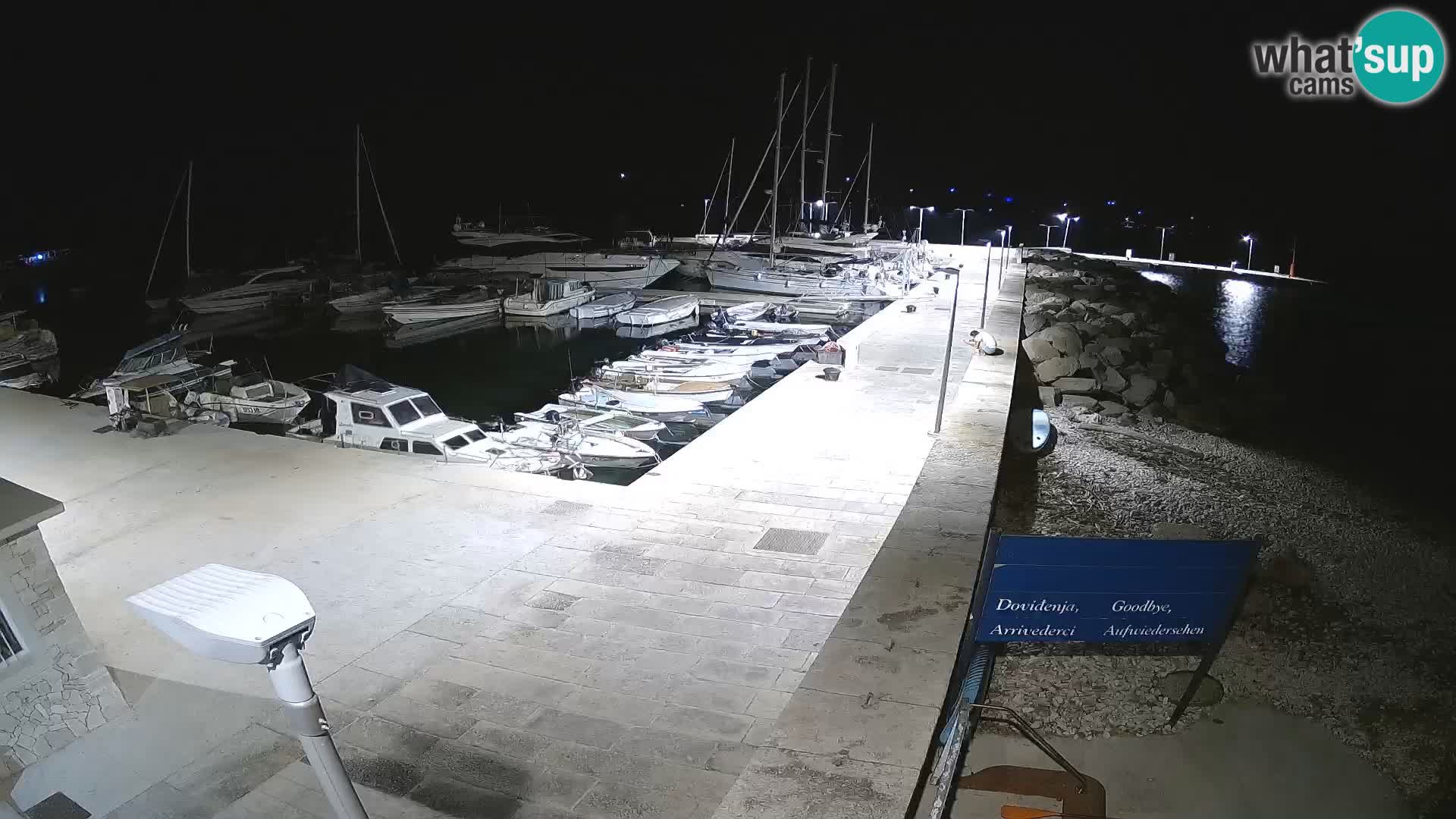 Webcam de l’île d’Unije – Explorez la beauté du joyau caché de la Croatie