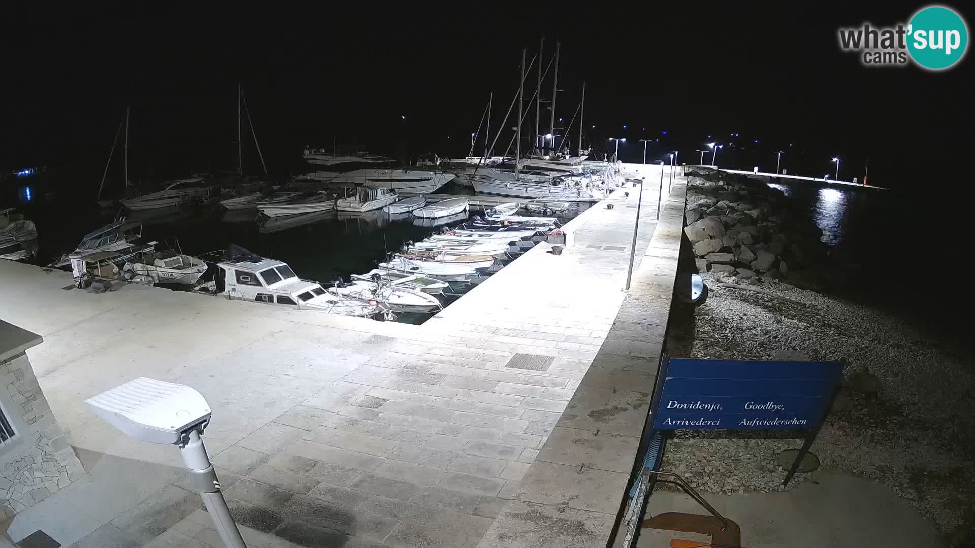 Cámara web de la isla de Unije: explore la belleza de la joya escondida de Croacia