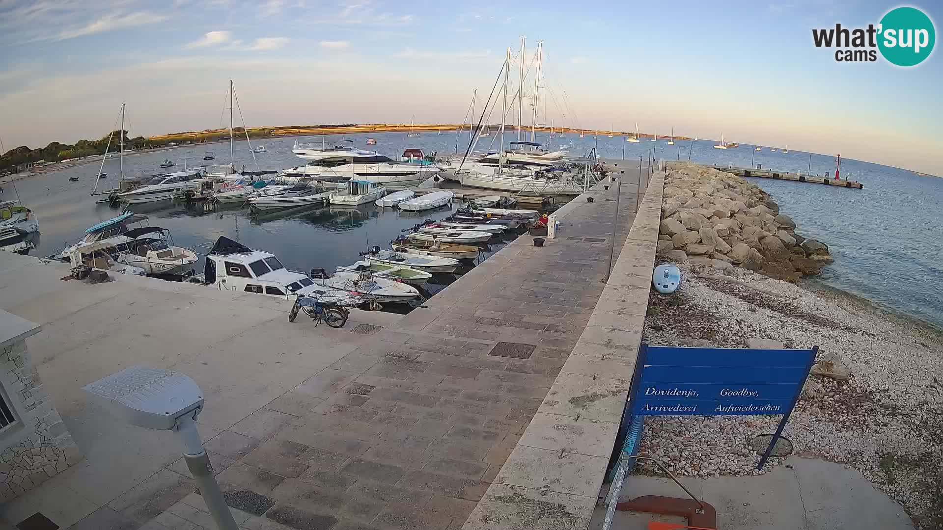 Cámara web de la isla de Unije: explore la belleza de la joya escondida de Croacia