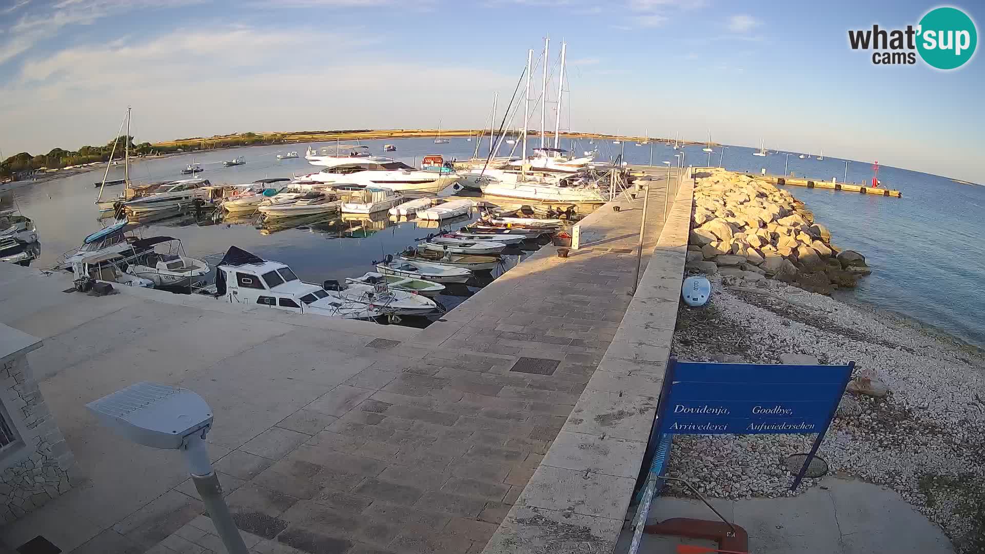Cámara web de la isla de Unije: explore la belleza de la joya escondida de Croacia