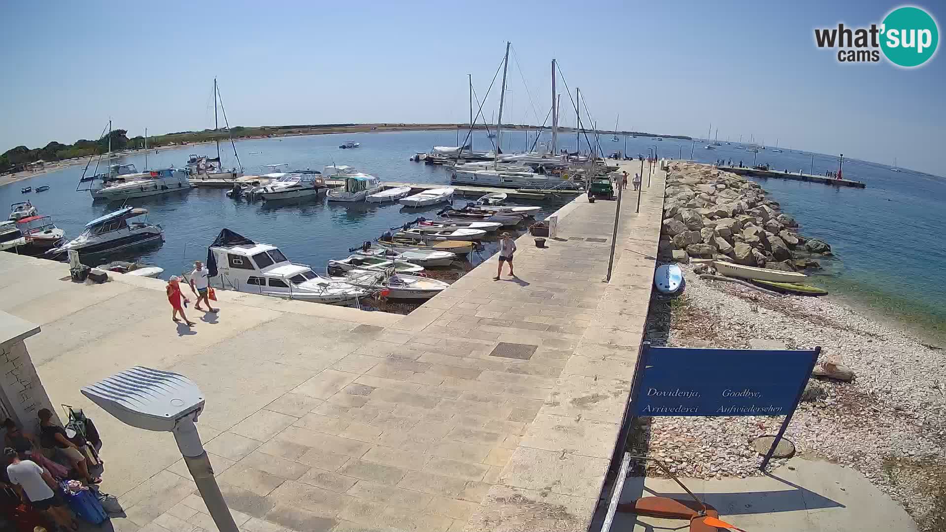 Webcam de l’île d’Unije – Explorez la beauté du joyau caché de la Croatie